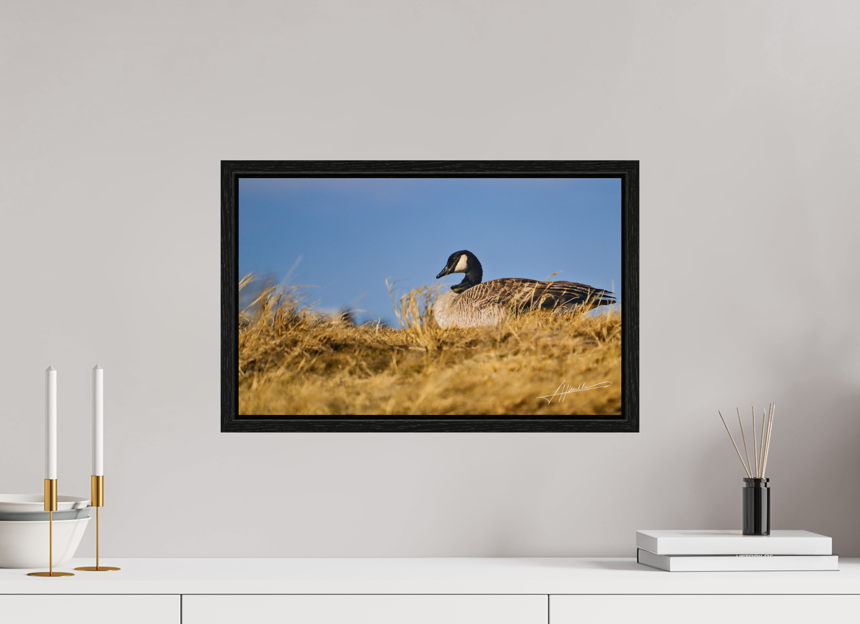 19.4 x 12″, Floater Frame The Nesting Goose