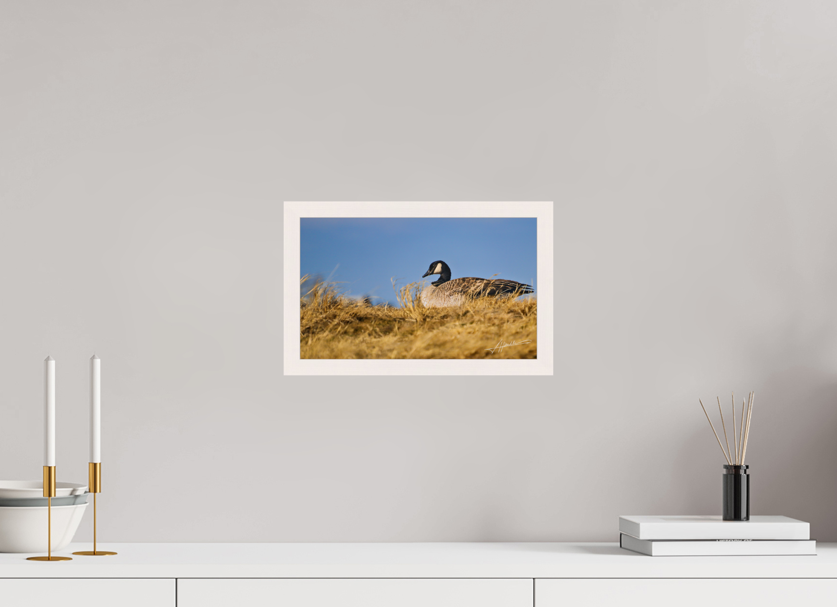 13 x 8″, Gallery Frame The Nesting Goose