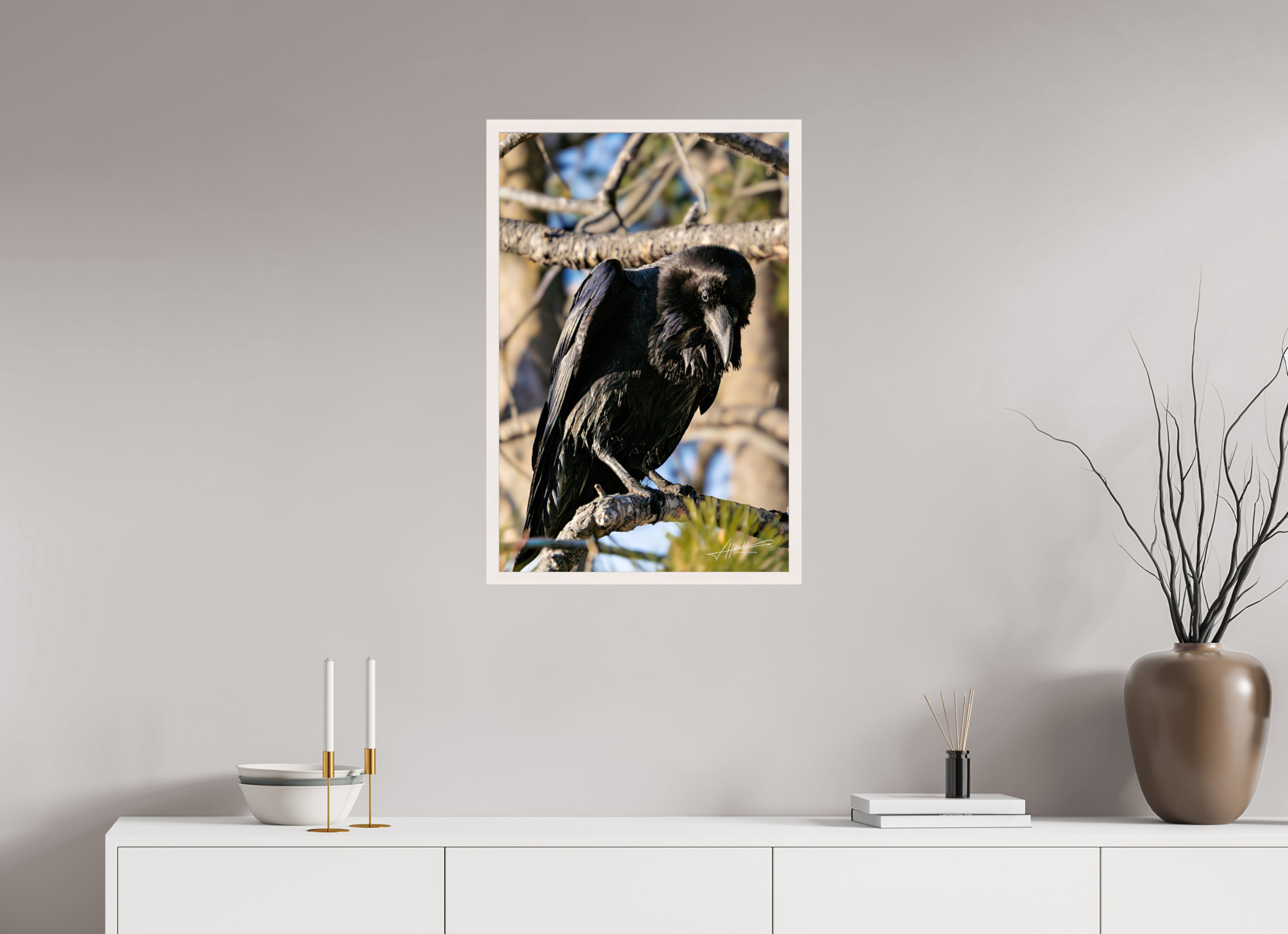 20 x 30″, Gallery Frame Morning Raven