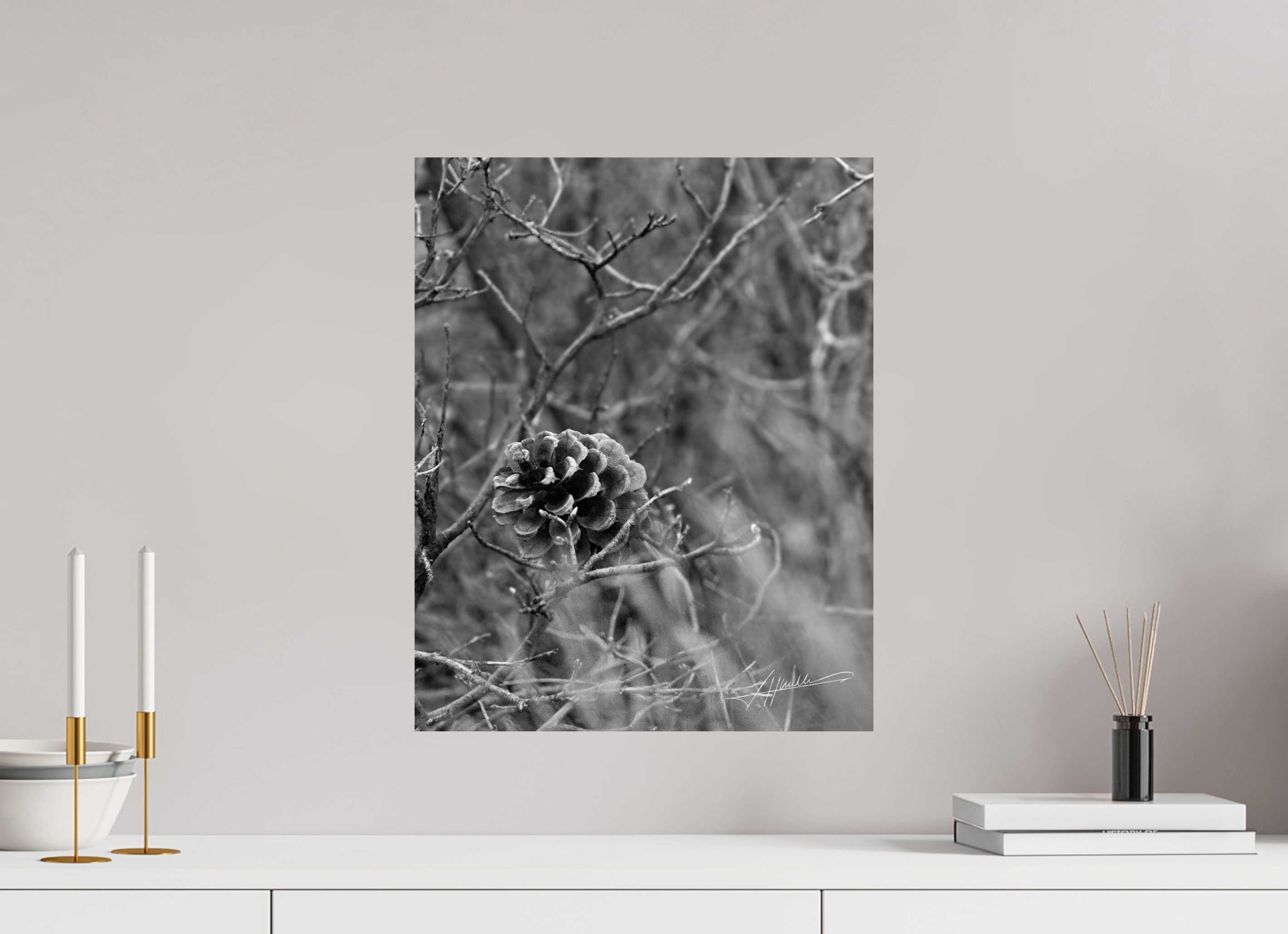 16 x 20″, Photo Print On Ilford Baryta Paper Mountain Pinecone