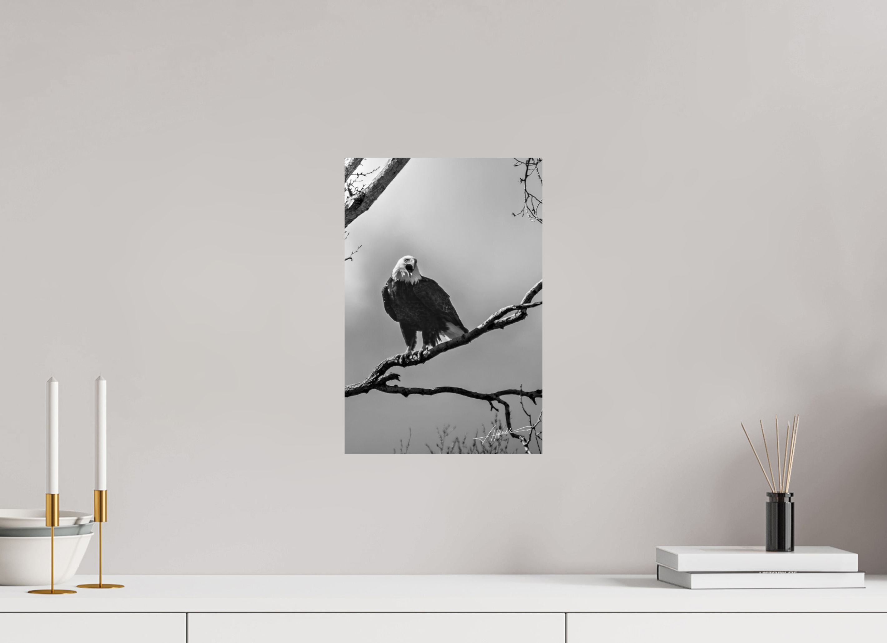 10 x 15″, Photo Print On Ilford Baryta Paper The Eagle's Call