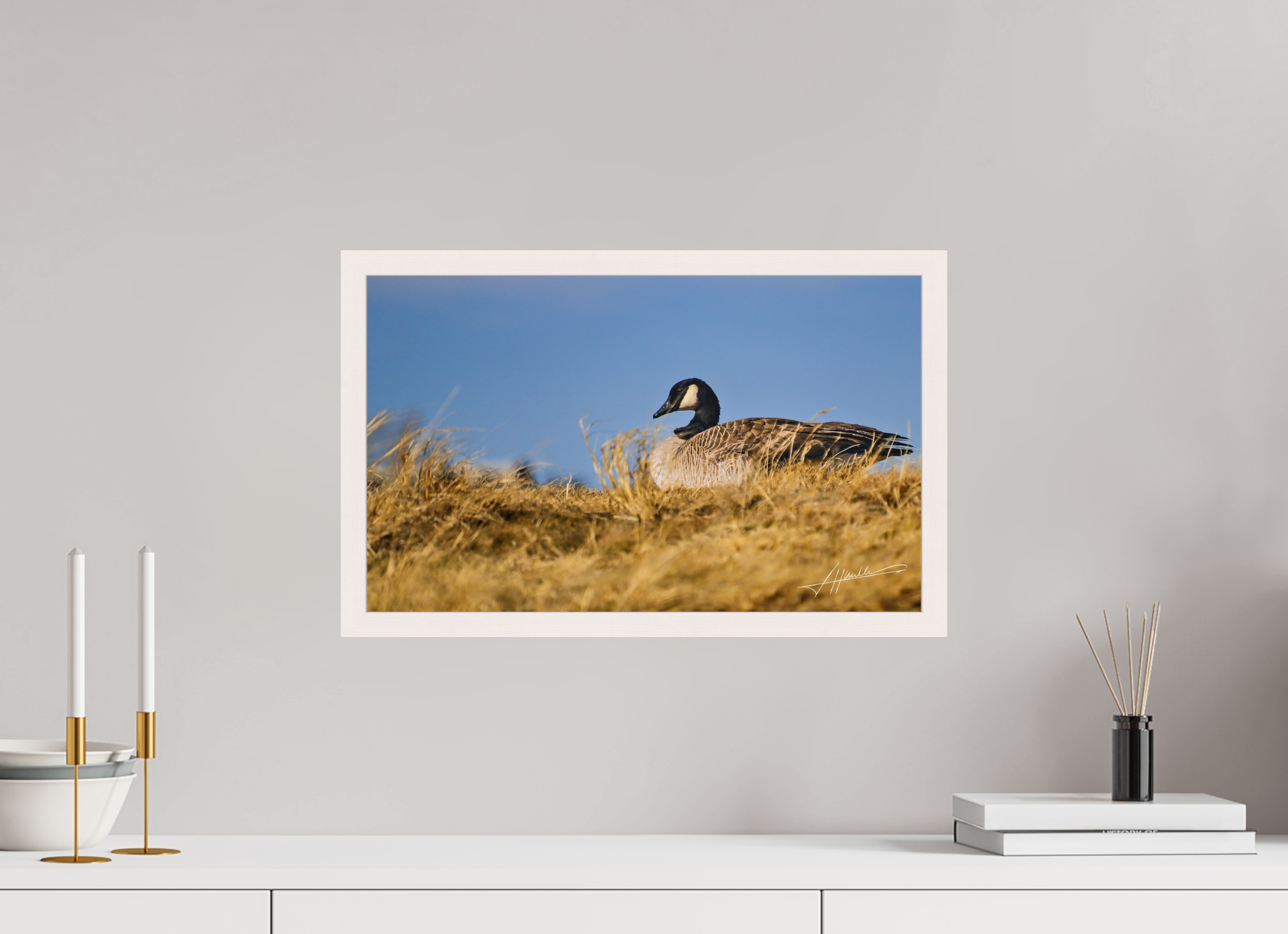 19.4 x 12″, Gallery Frame The Nesting Goose