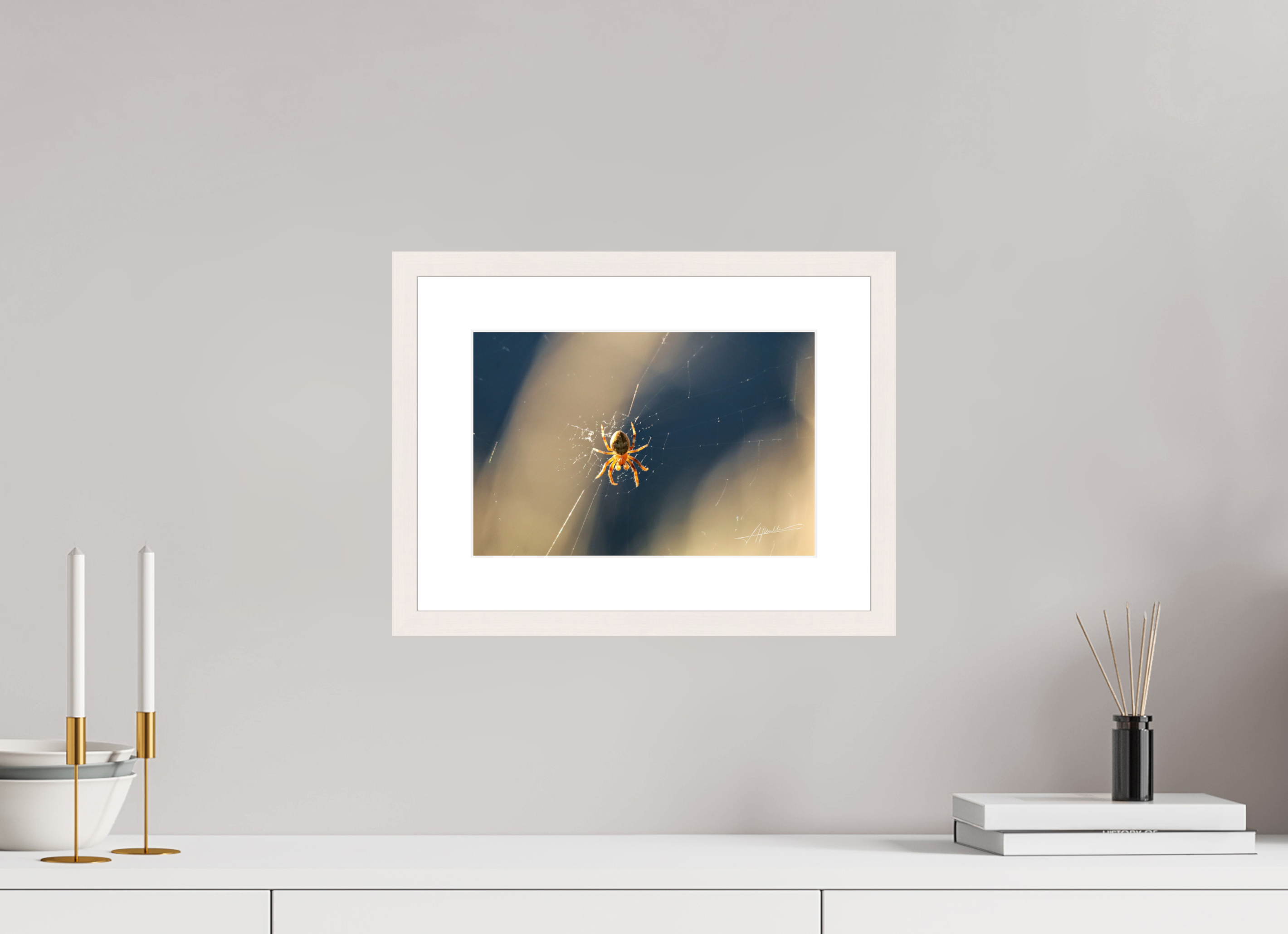 12 x 8″, Solid Wood Frame with Passe-partout Tattered Web