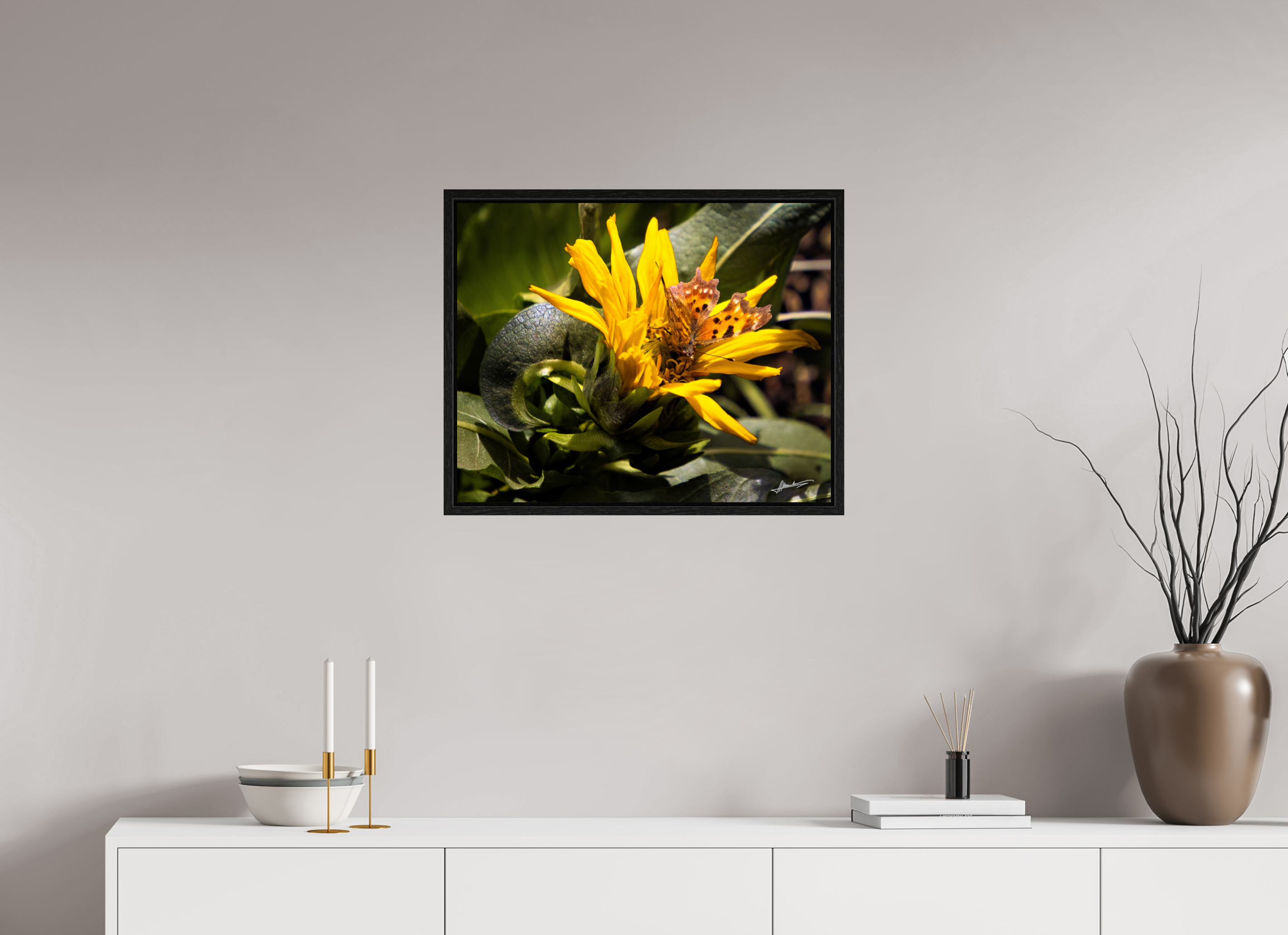 25 x 20″, Floater Frame Busy Butterfly