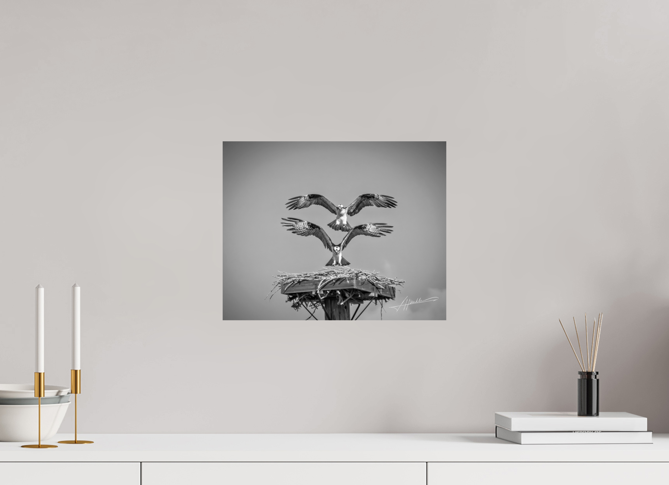 15 x 12″, Photo Print On Ilford Baryta Paper Two Osprey Landing