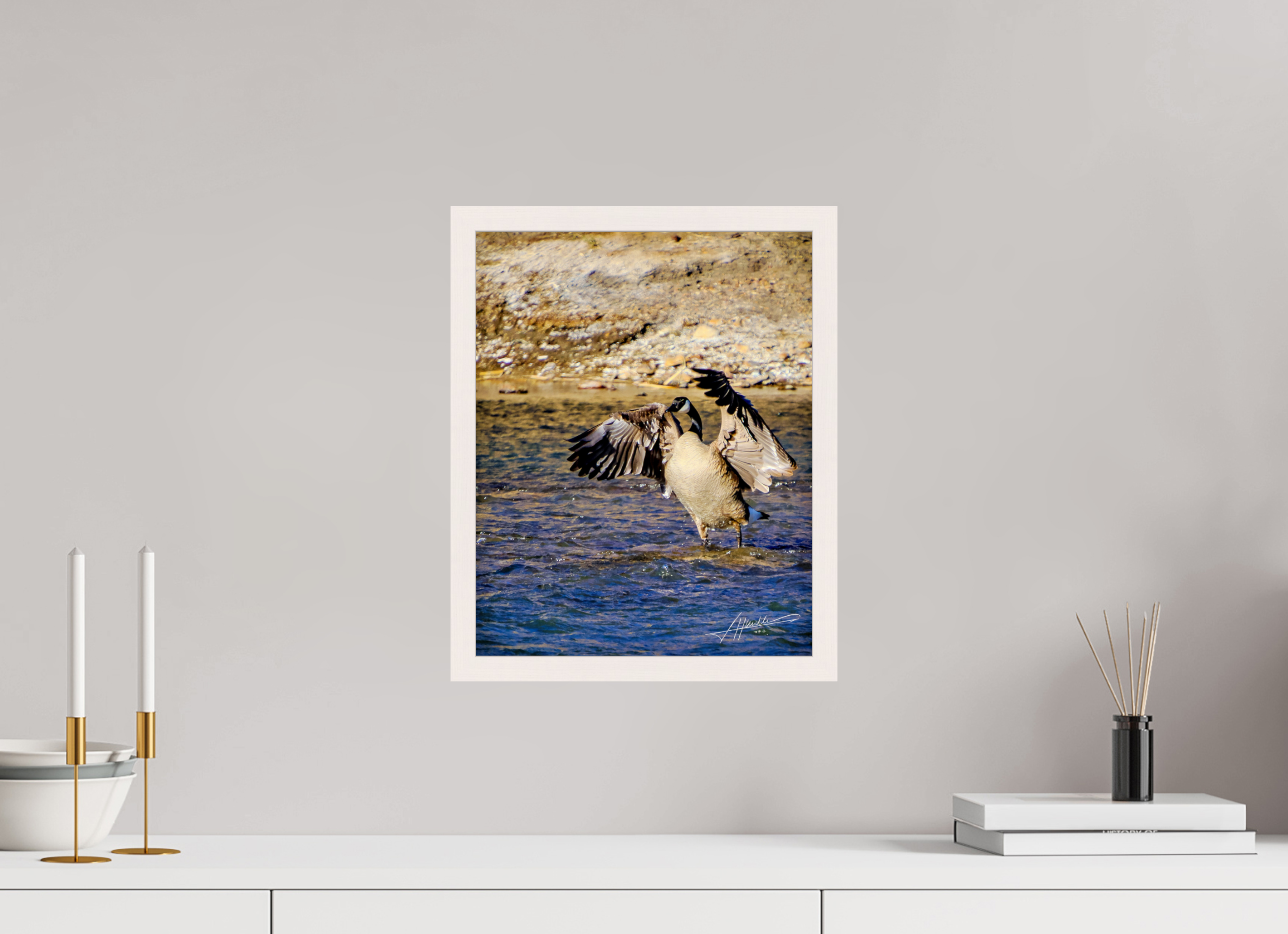 12 x 15″, Gallery Frame The Bathing Goose