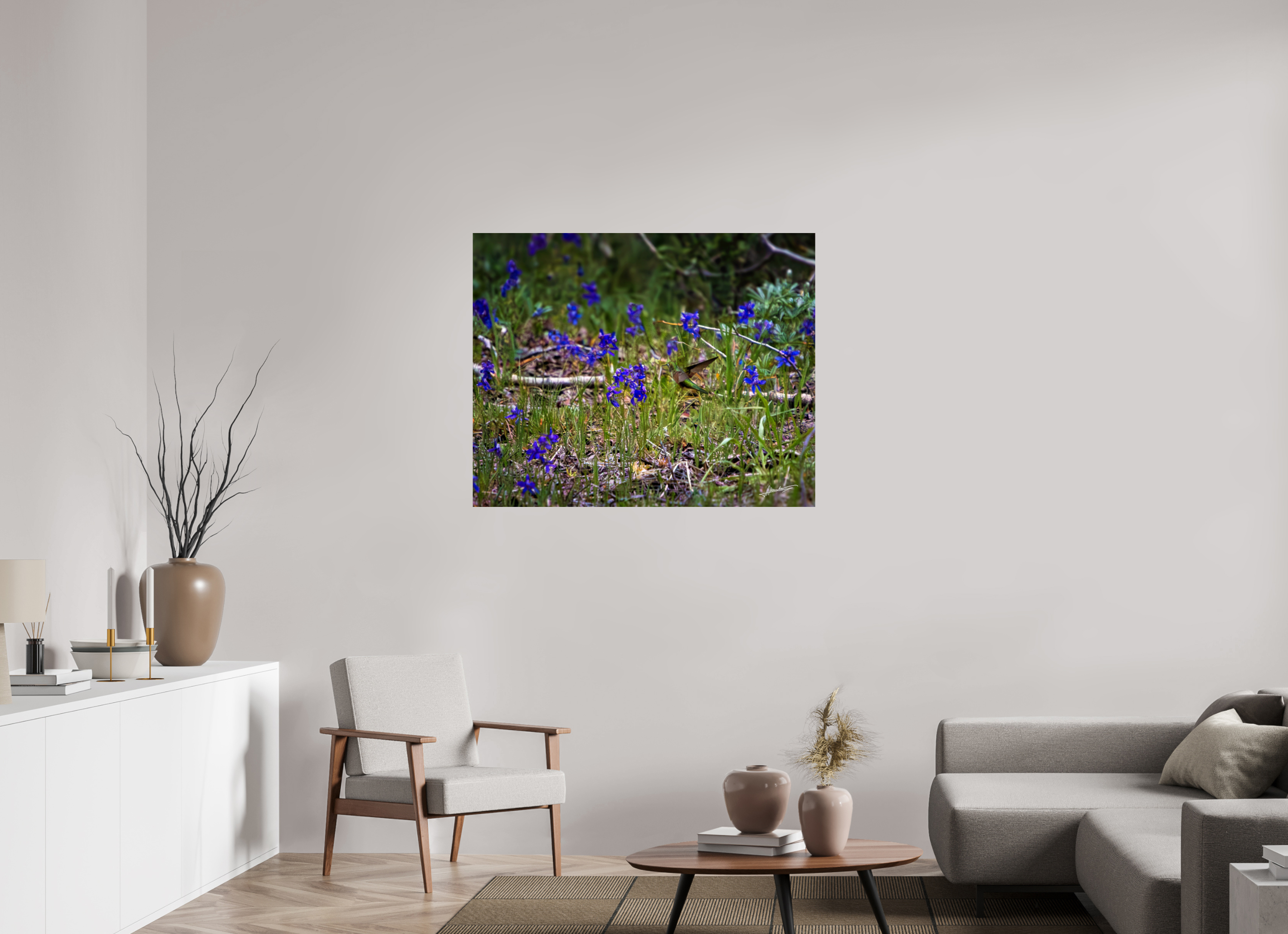 43.7 x 35″, Photo Print On Fujiflex High Gloss Feeding Hummingbird