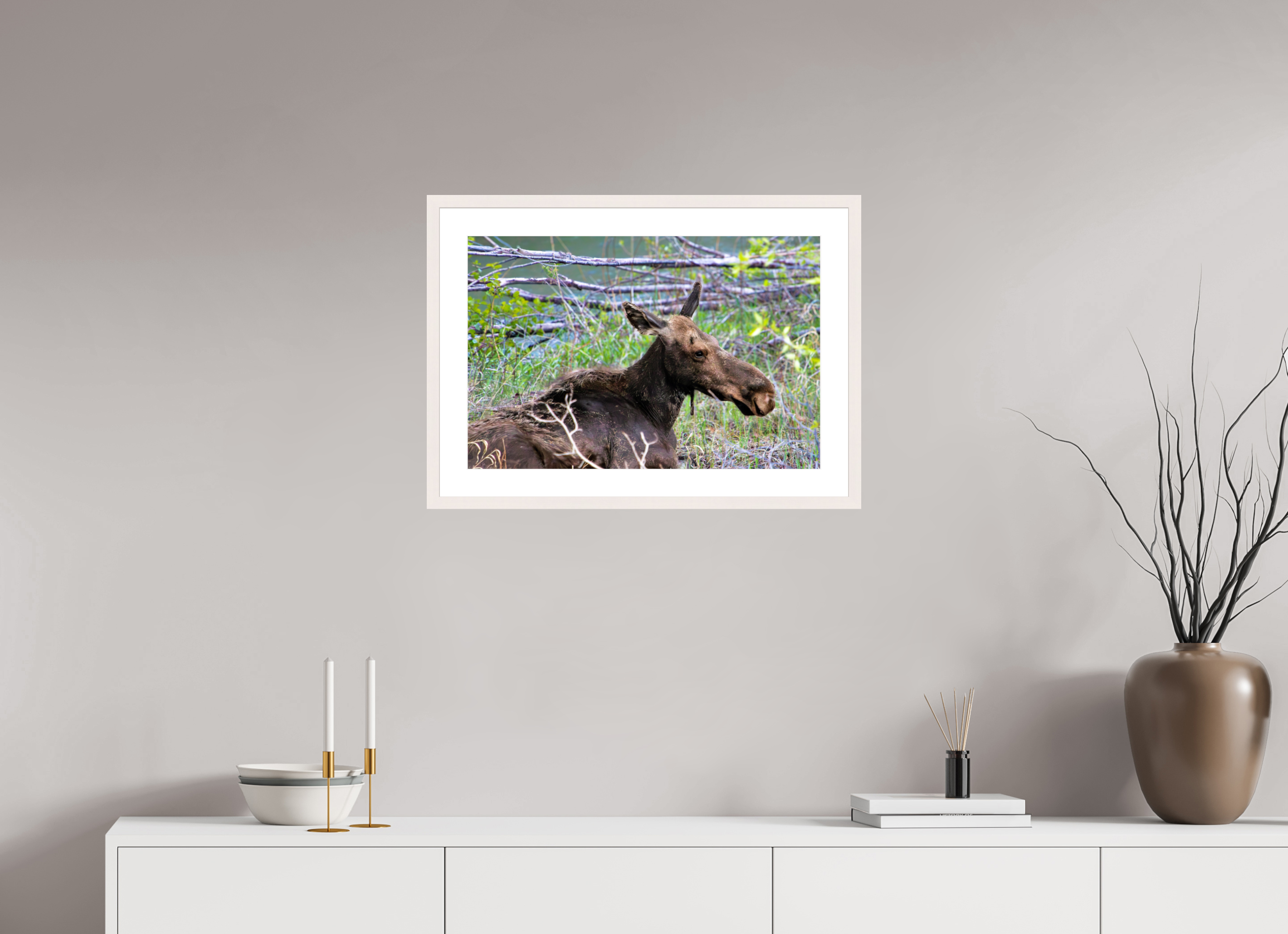 24 x 16″, Solid Wood Frame with Passe-partout Moose Relaxing