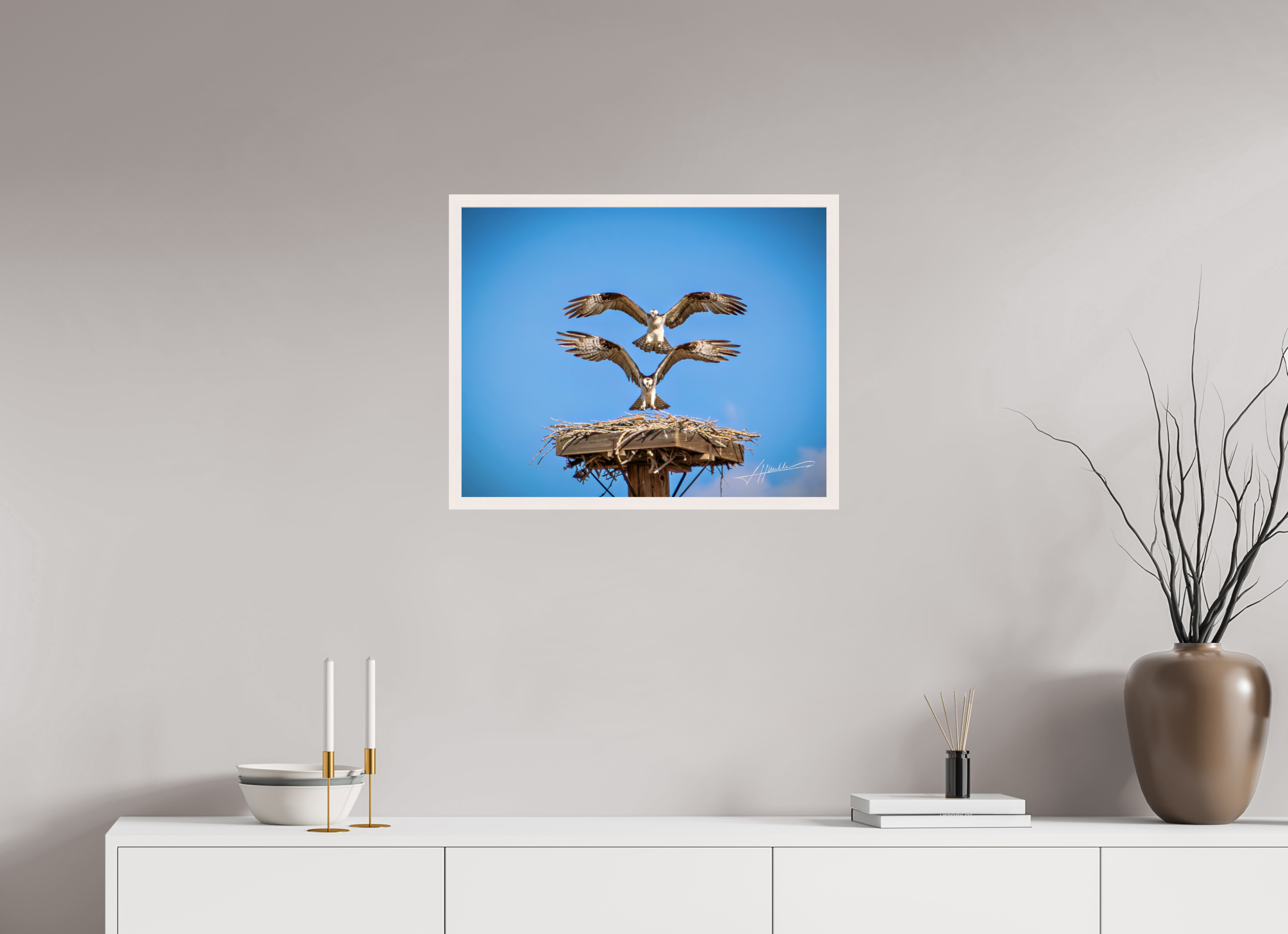 25 x 20″, Gallery Frame Two Osprey Landing