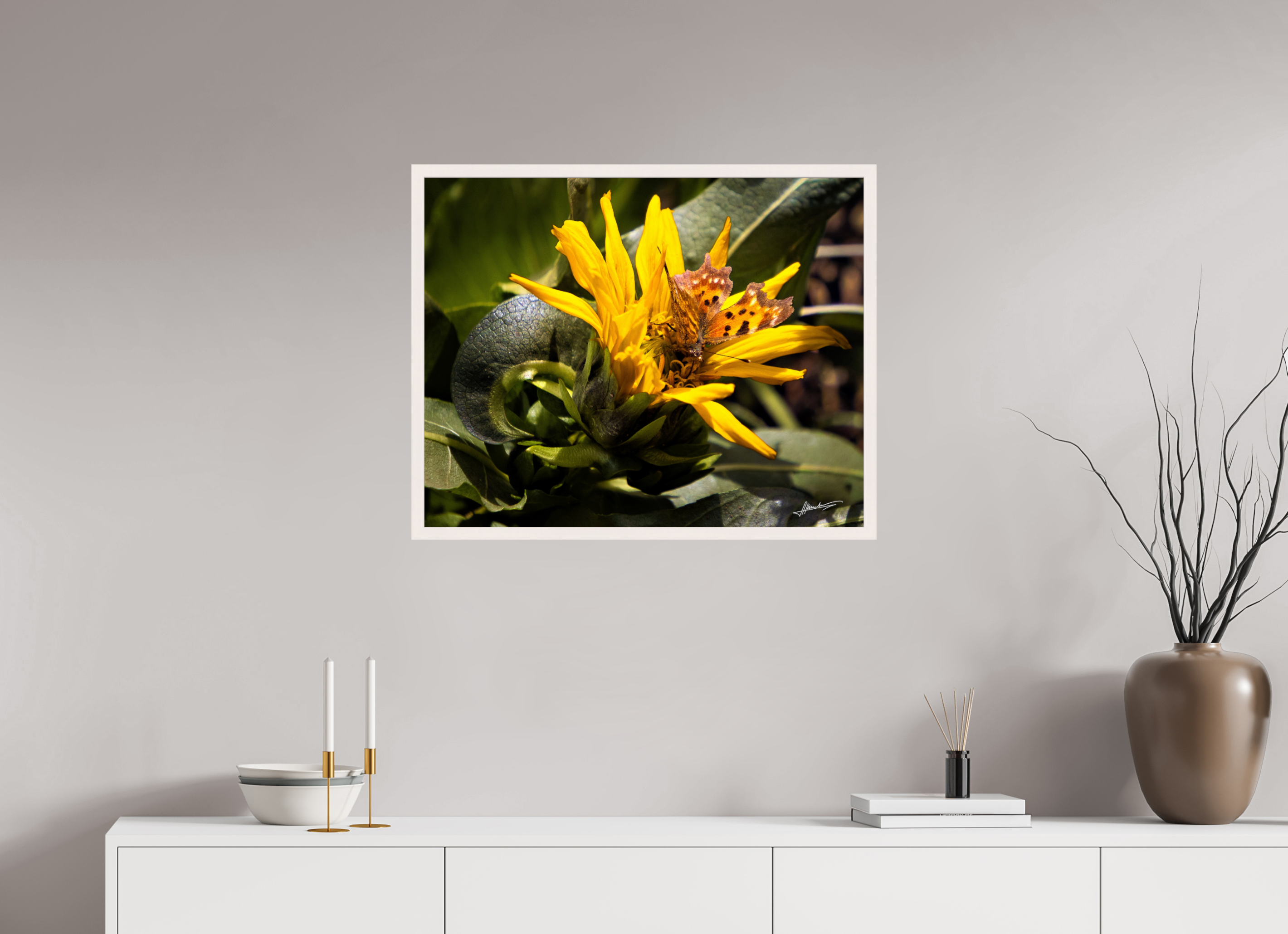 30 x 24″, Gallery Frame Busy Butterfly