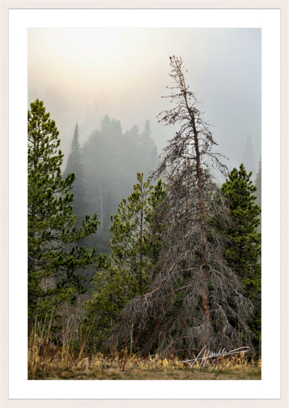 Main image The Lifting Fog