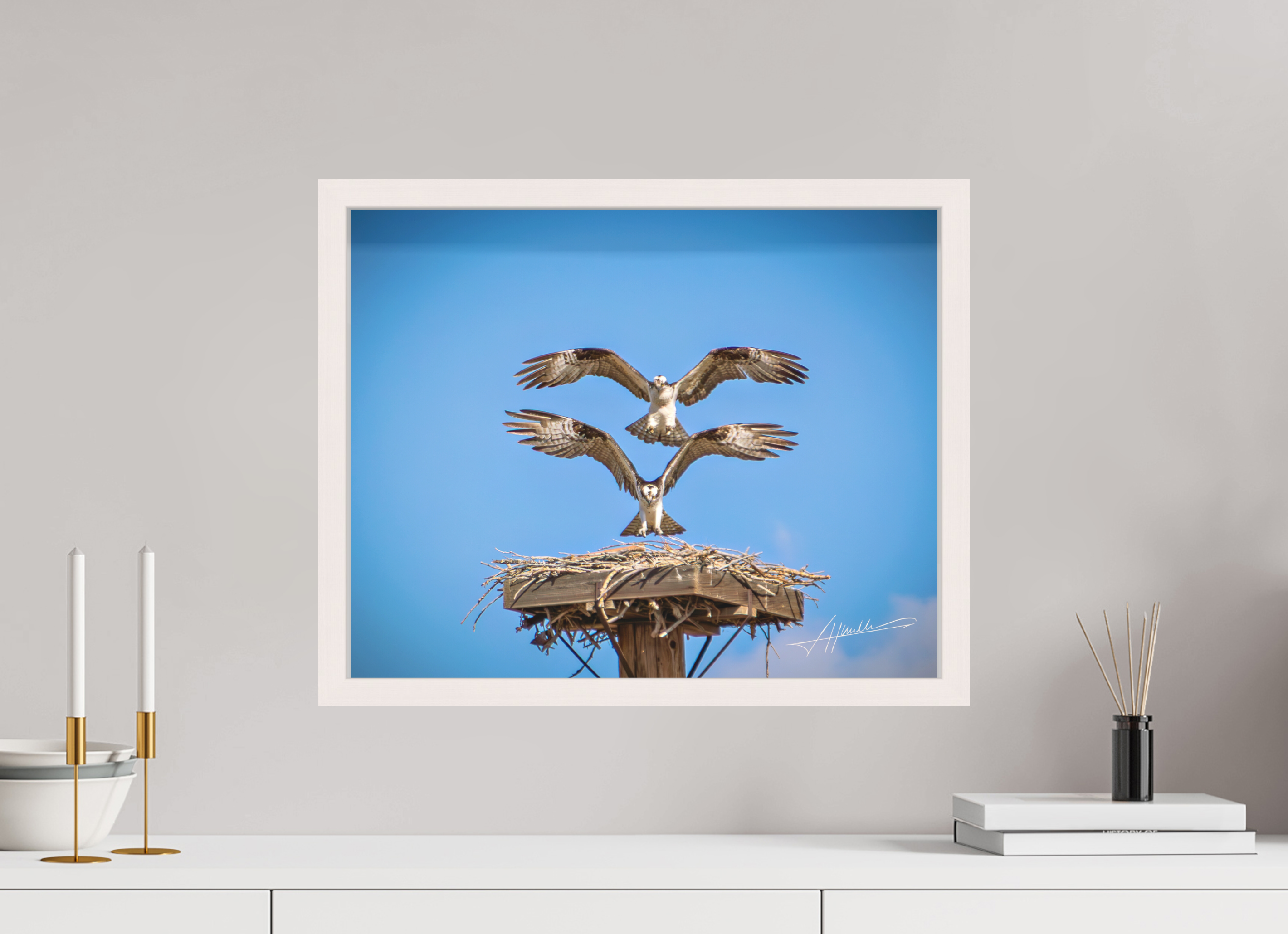 20 x 16″, Shadow Box Frame Two Osprey Landing