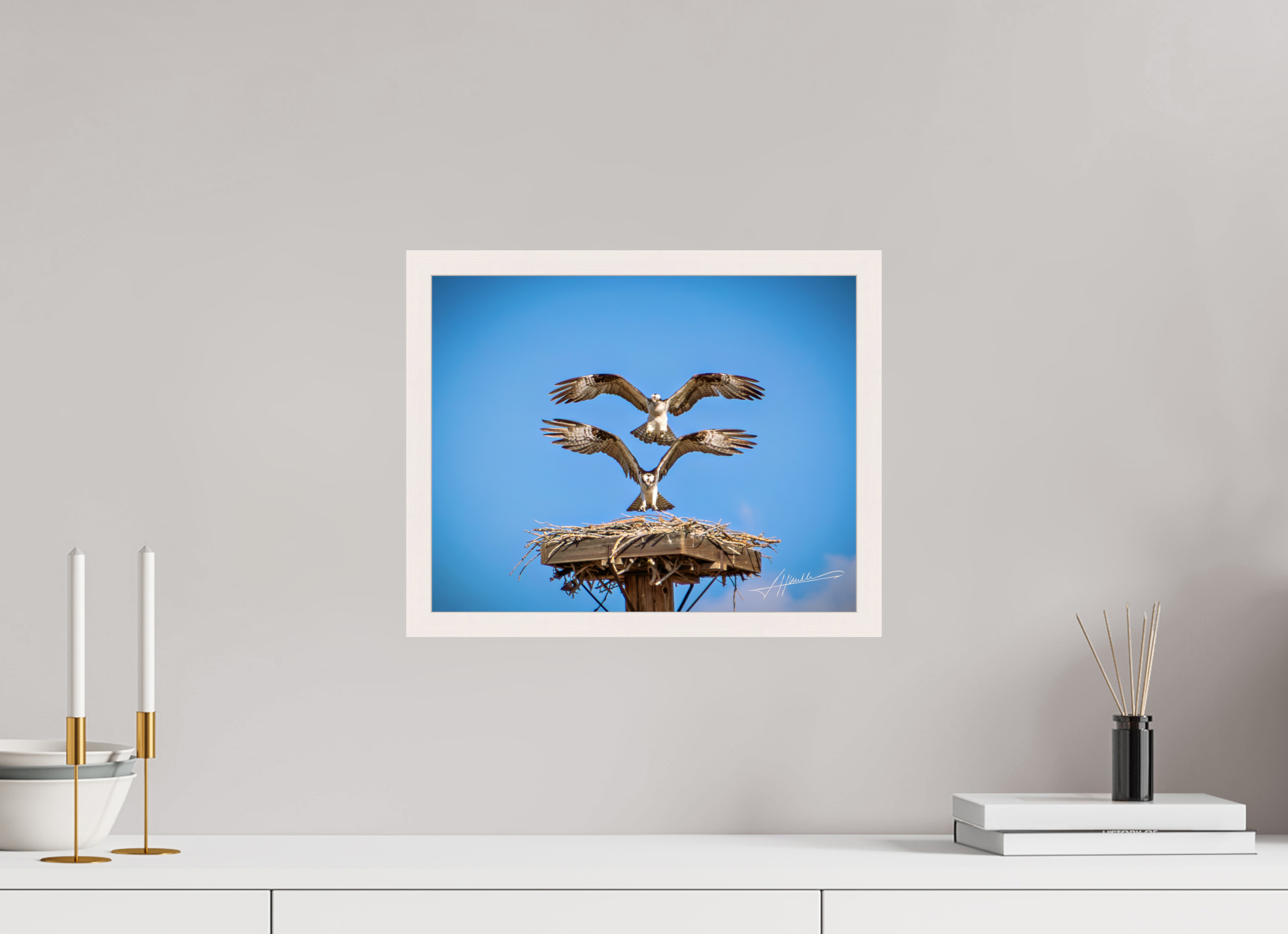 15 x 12″, Gallery Frame Two Osprey Landing