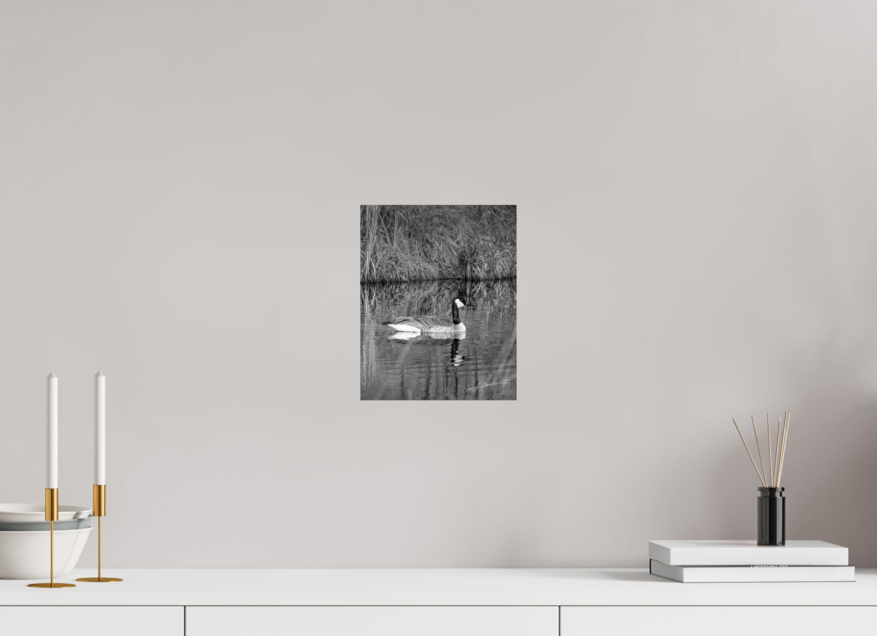 8 x 10″, Photo Print On Ilford Baryta Paper A Swimming Reflection