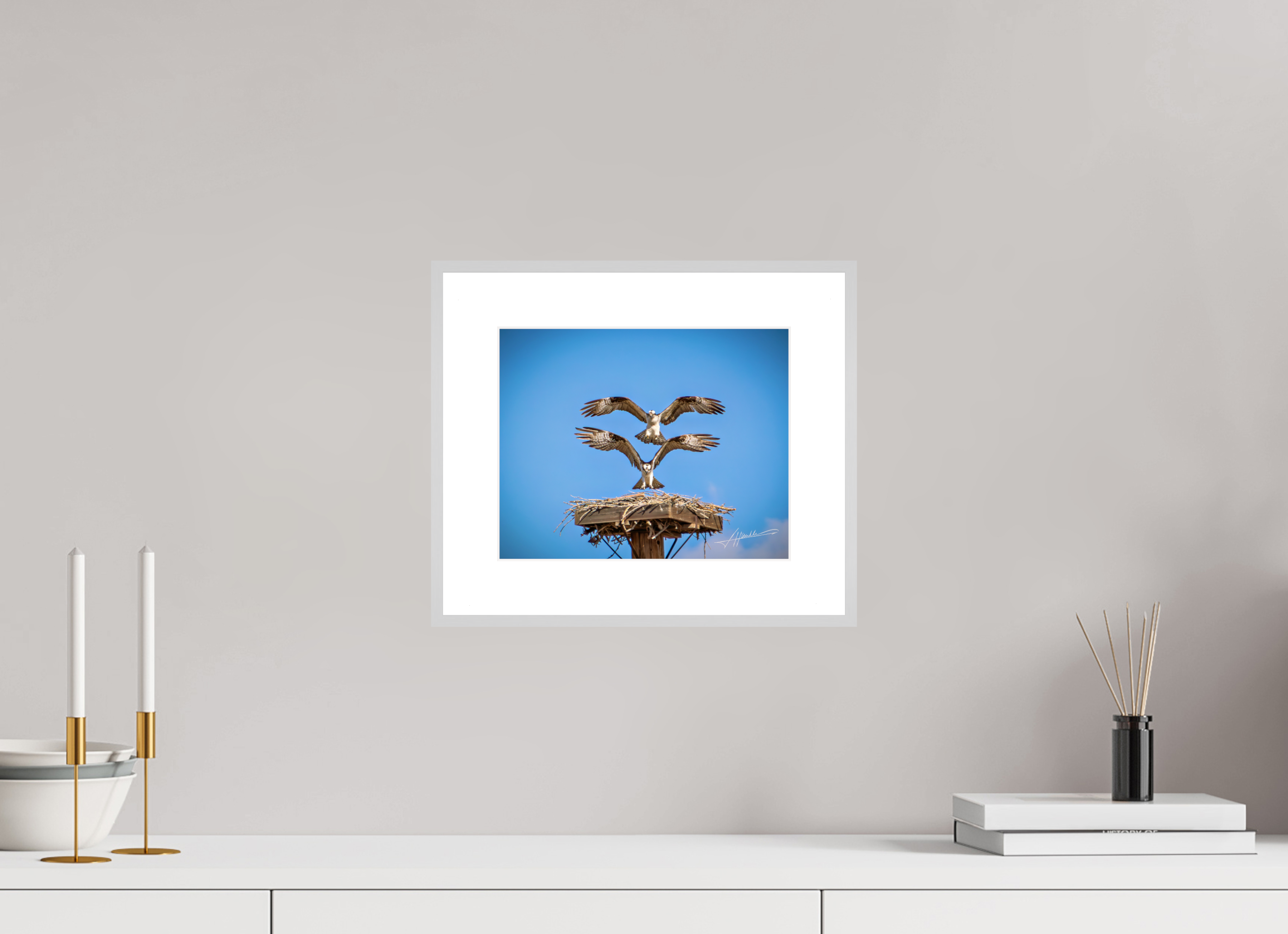10 x 8″, Changeable Magnetic Frame Two Osprey Landing