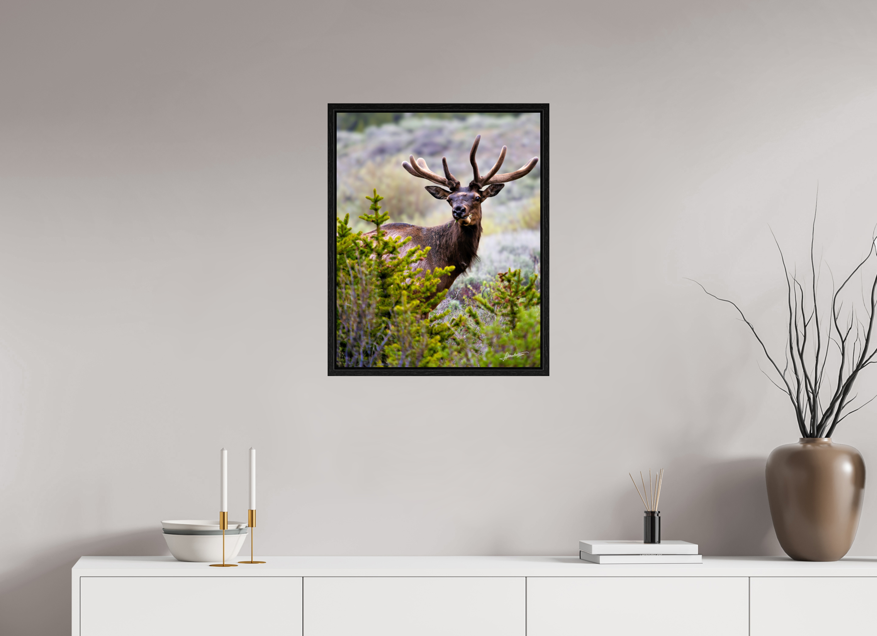 20 x 25″, Floater Frame Velvet Bull