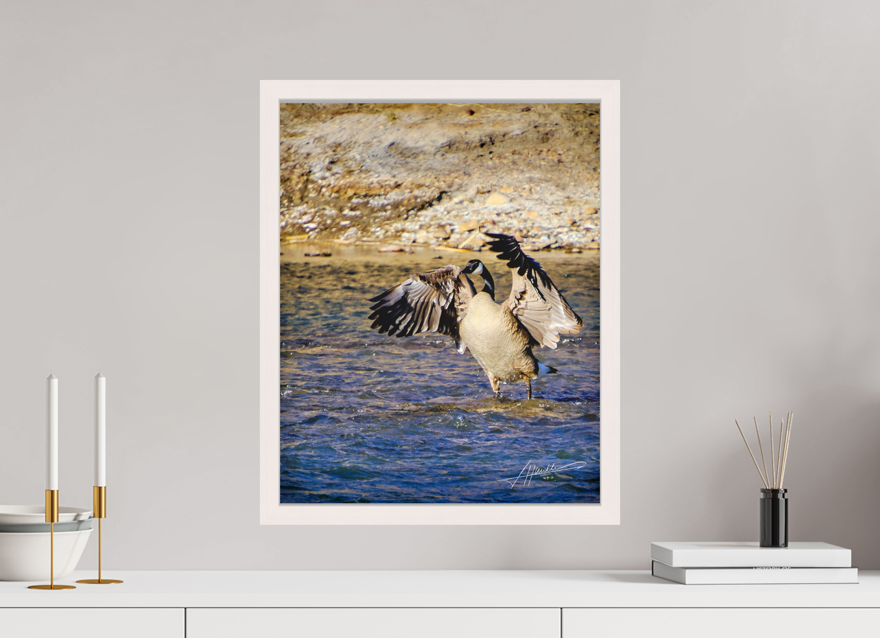 16 x 20″, Shadow Box Frame The Bathing Goose