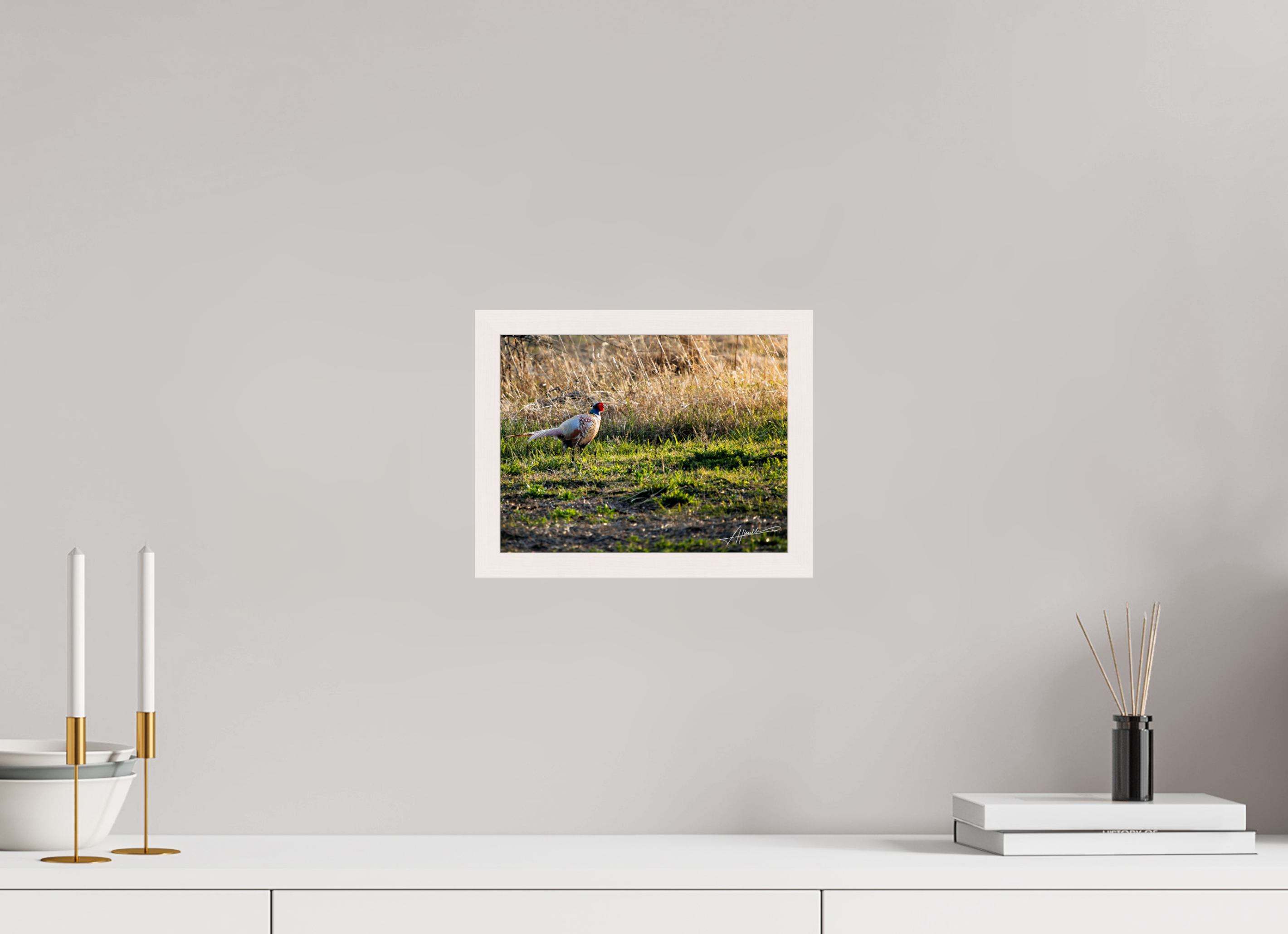 10.4 x 8″, Gallery Frame Evening Pheasant