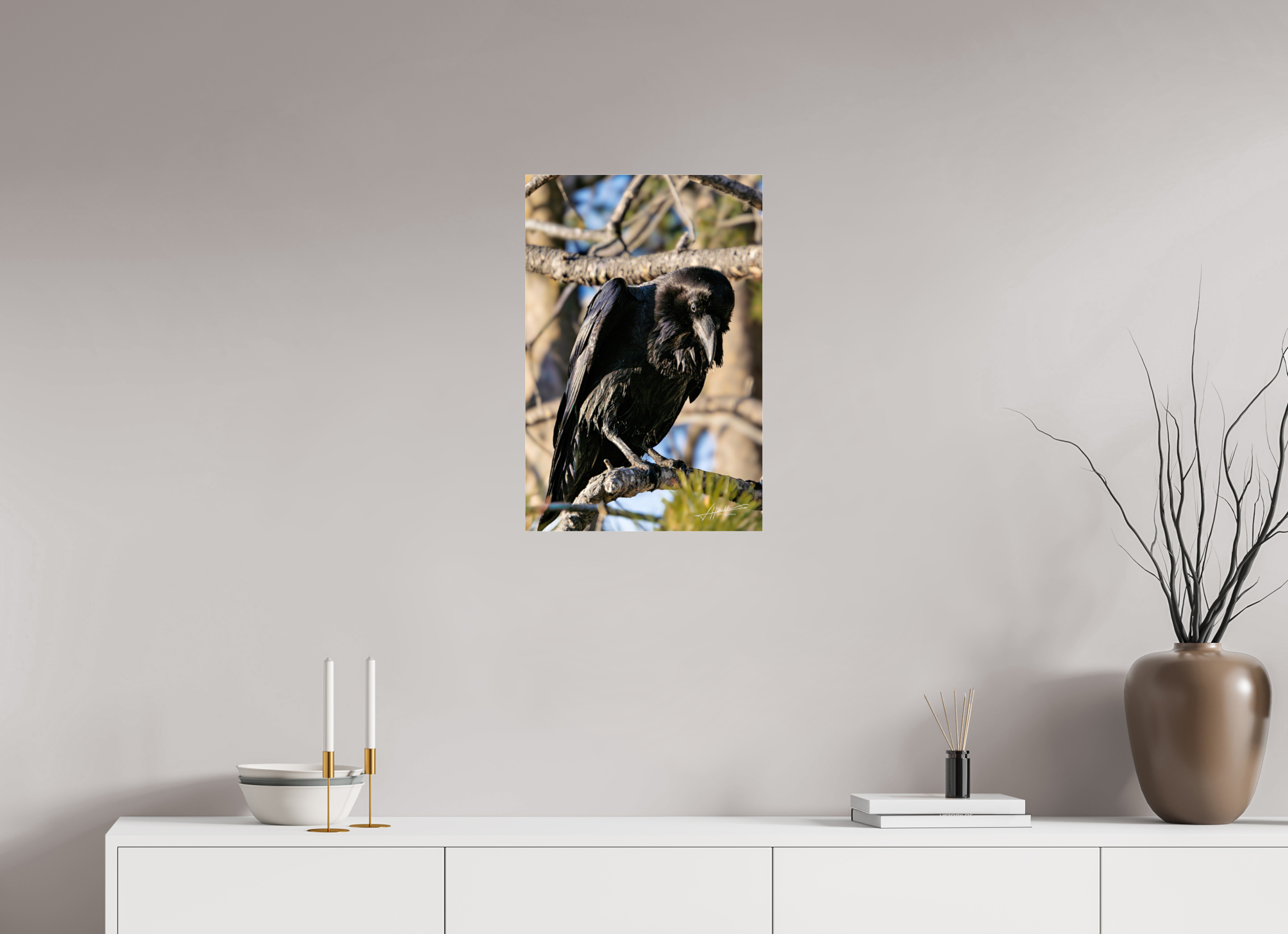 16 x 24″, Photo Print Under Acrylic Glass Morning Raven