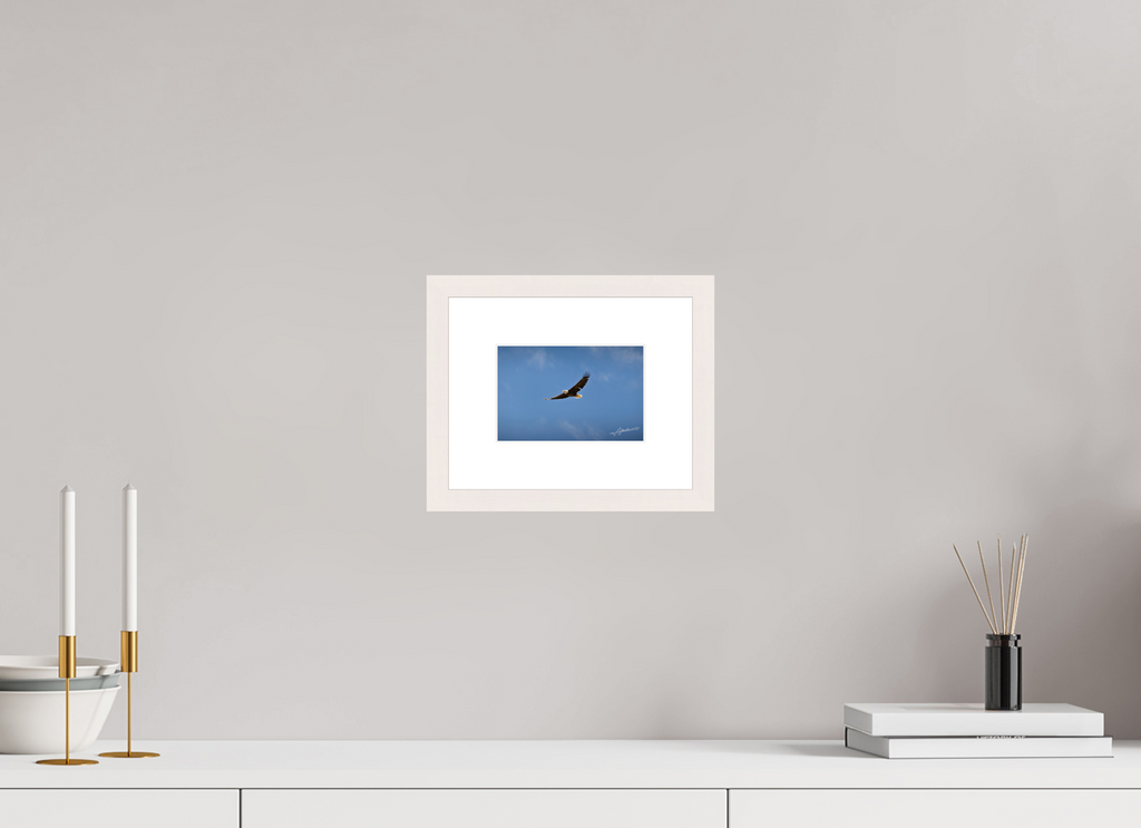 6 x 4″, Solid Wood Frame with Passe-partout Soaring Free