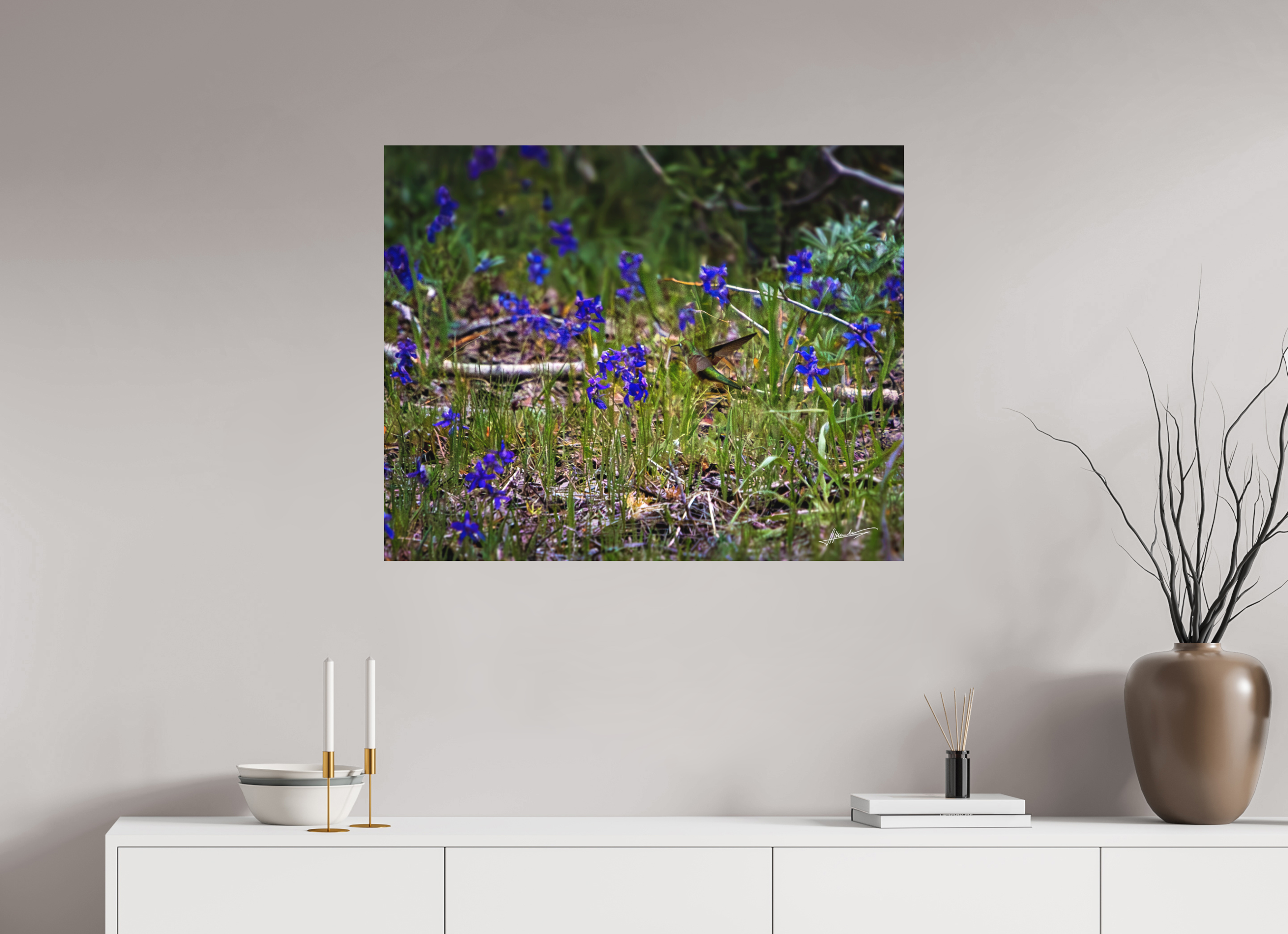 35 x 28″, Metal Dibond Feeding Hummingbird