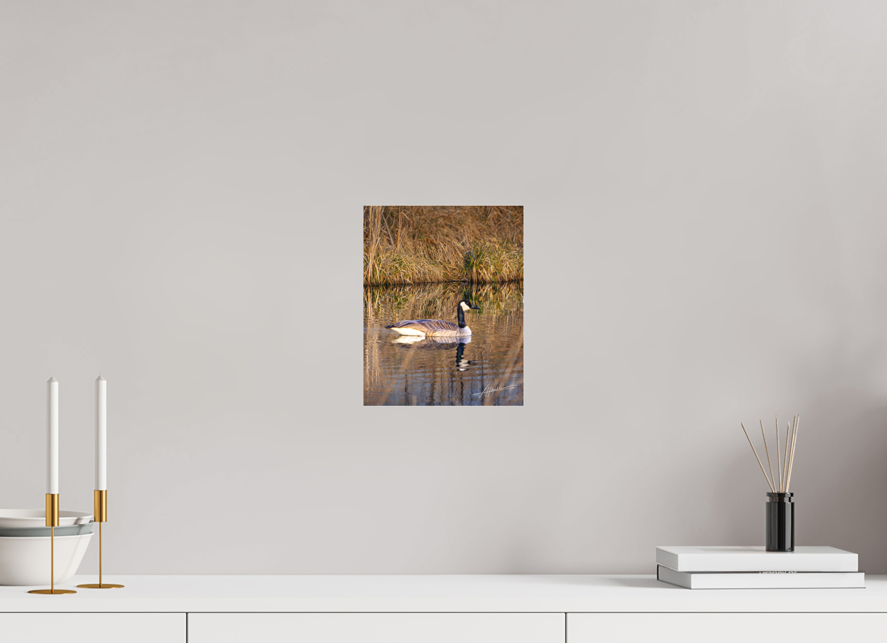 8 x 10″, Fine Pigment Under Acrylic A Swimming Reflection