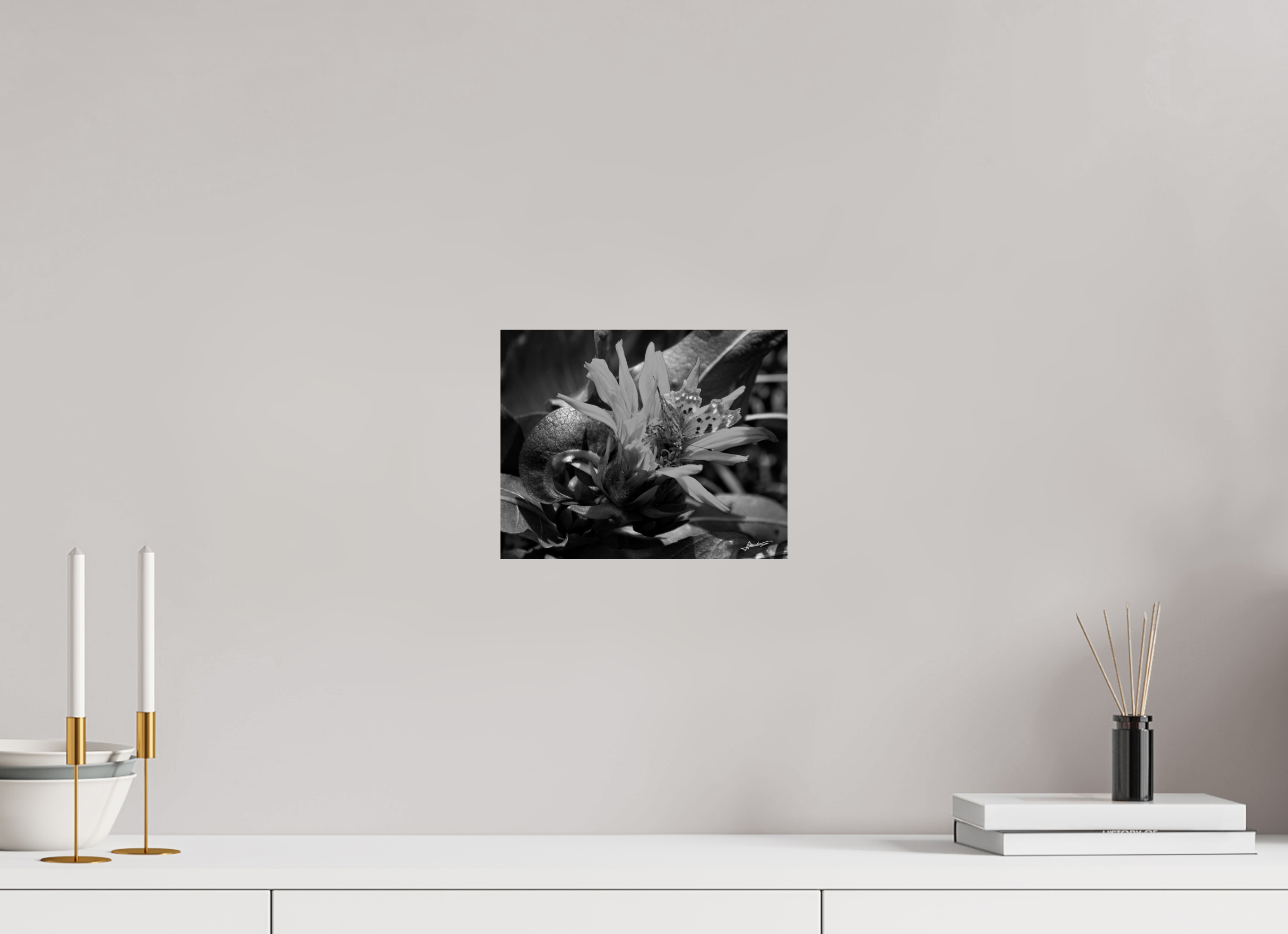 10 x 8″, Photo Print On Ilford Baryta Paper Busy Butterfly