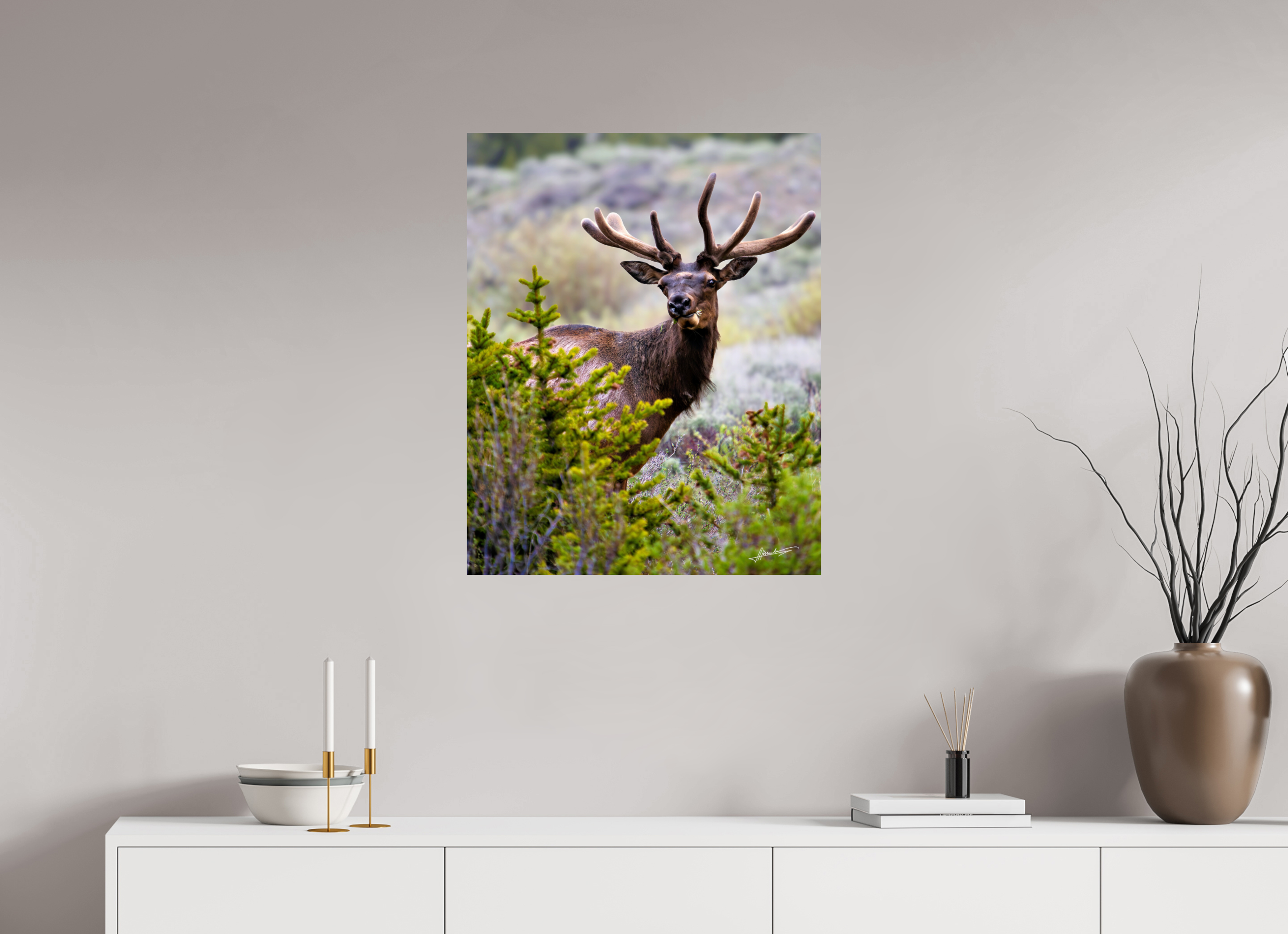 24 x 30″, Metallic Photo Print On Fuji Crystal Pearl Velvet Bull