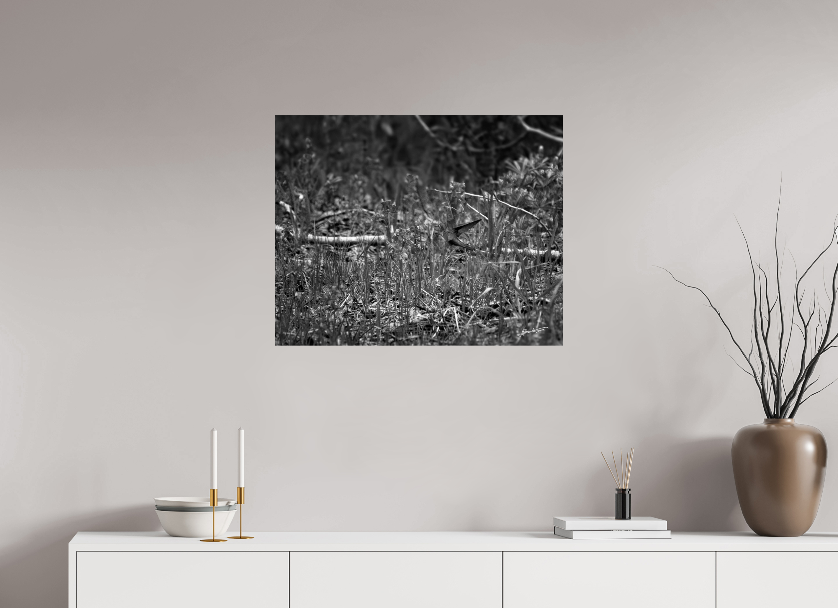 30 x 24″, Photo Print On Ilford Baryta Paper Feeding Hummingbird