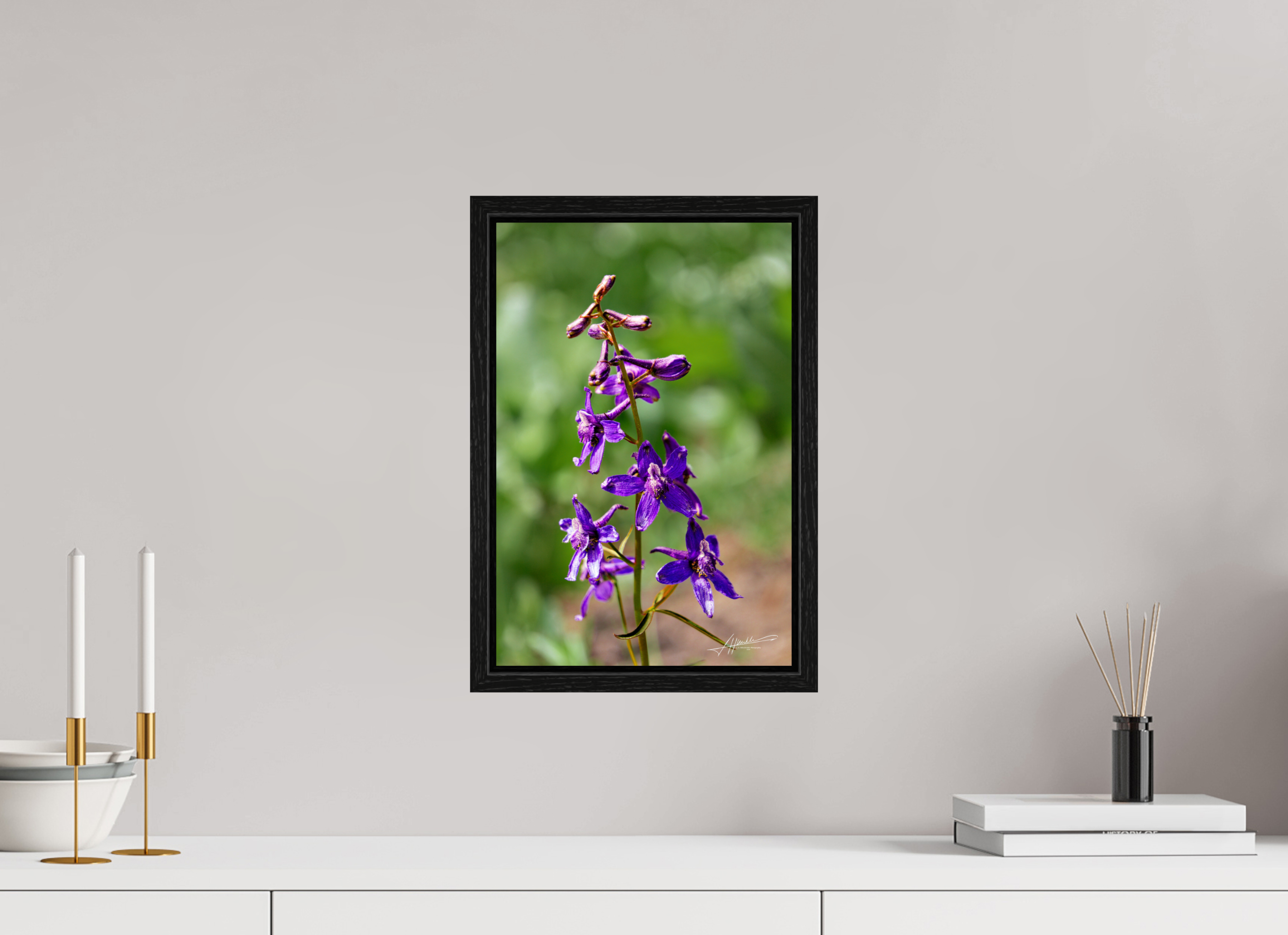 10 x 15″, Floater Frame Spring In Bloom