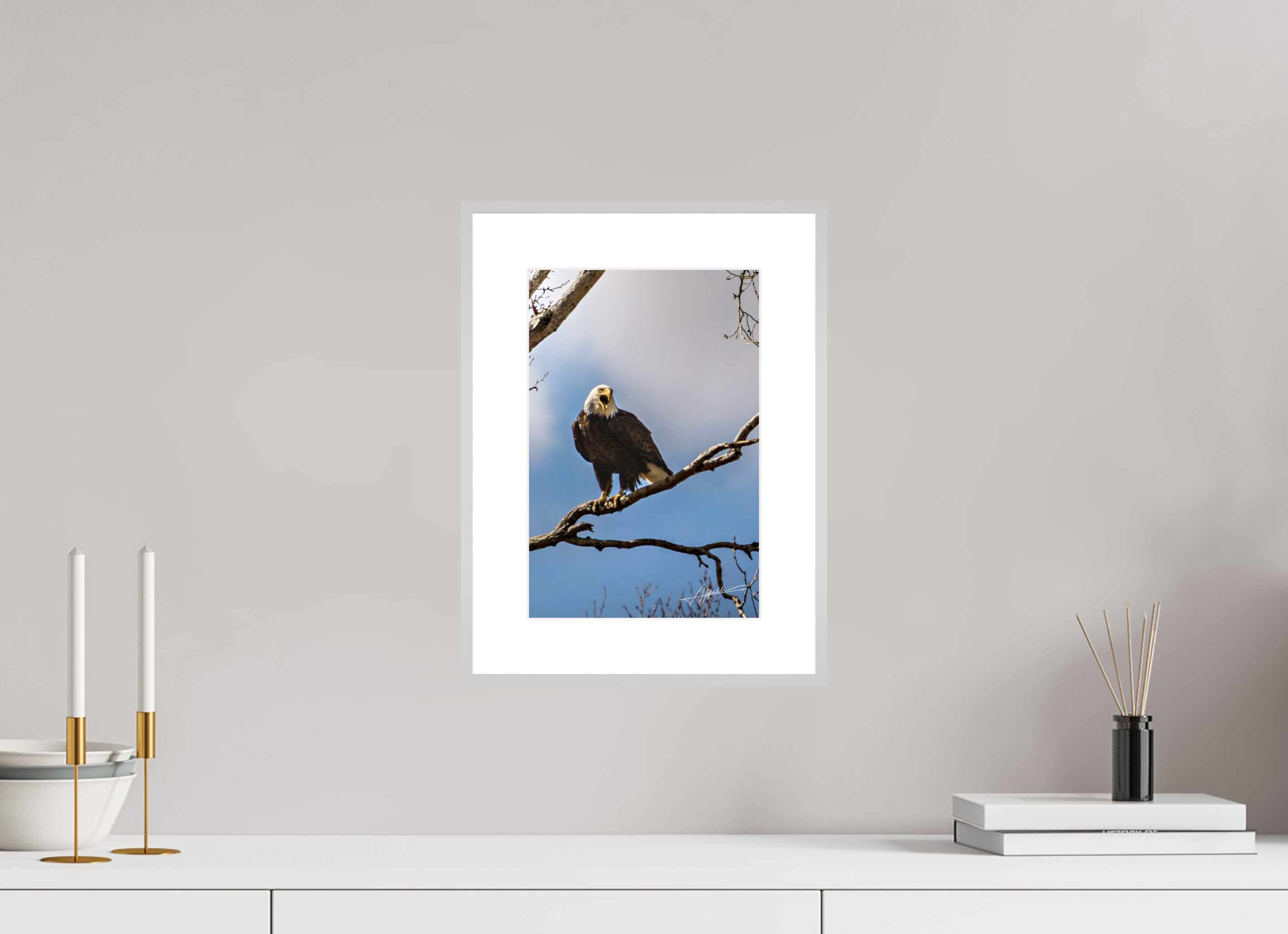8 x 12″, Changeable Magnetic Frame The Eagle's Call