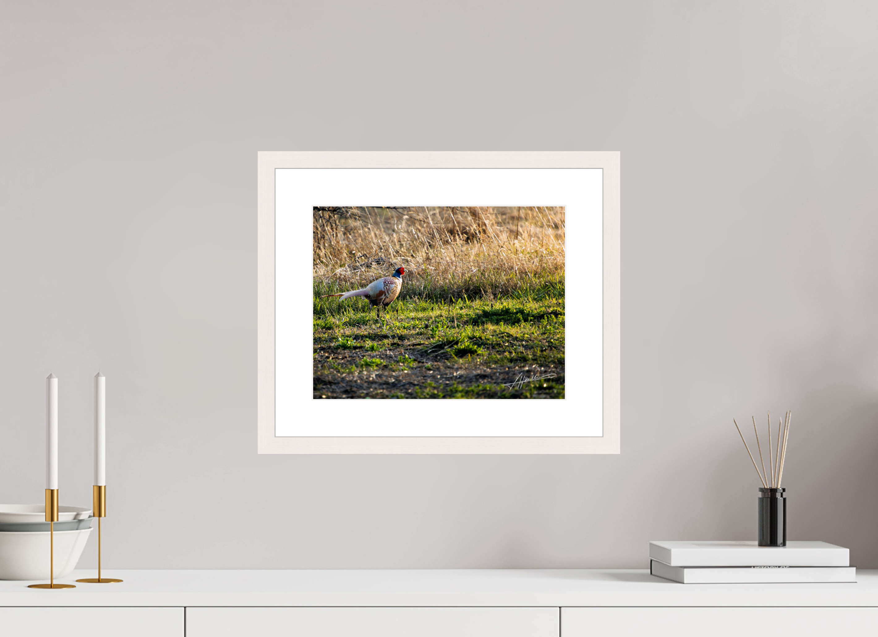 13 x 10″, Solid Wood Frame with Passe-partout Evening Pheasant