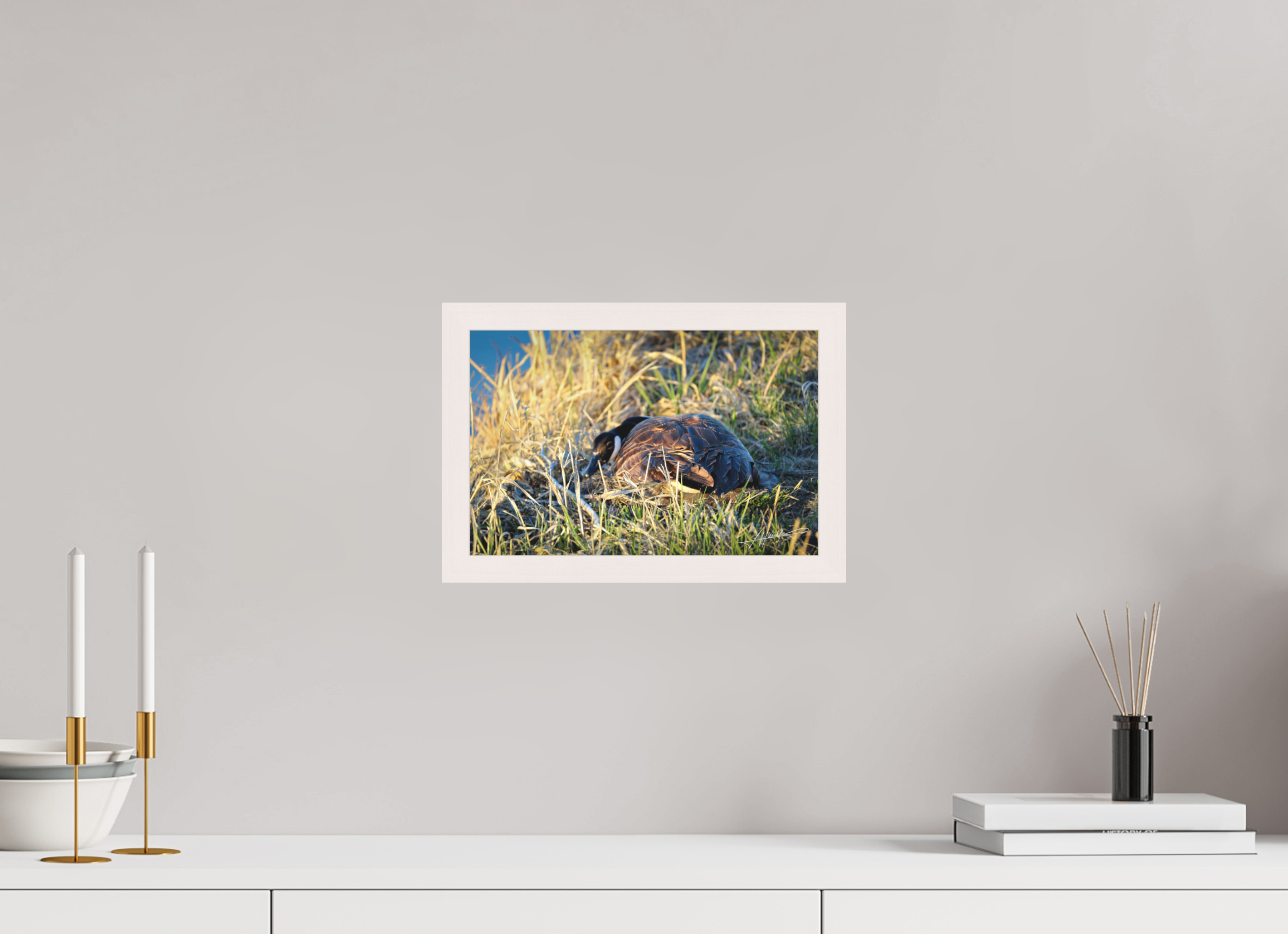 12 x 8″, Shadow Box Frame New Nester