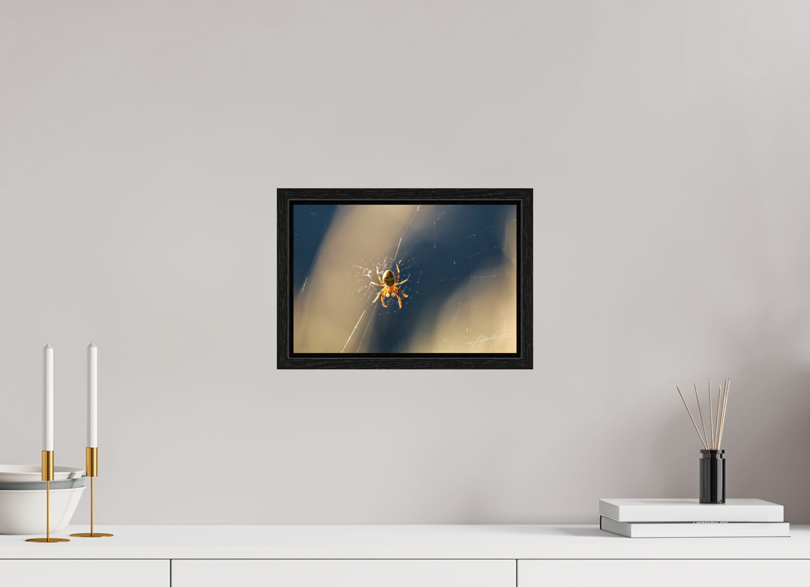12 x 8″, Floater Frame Tattered Web