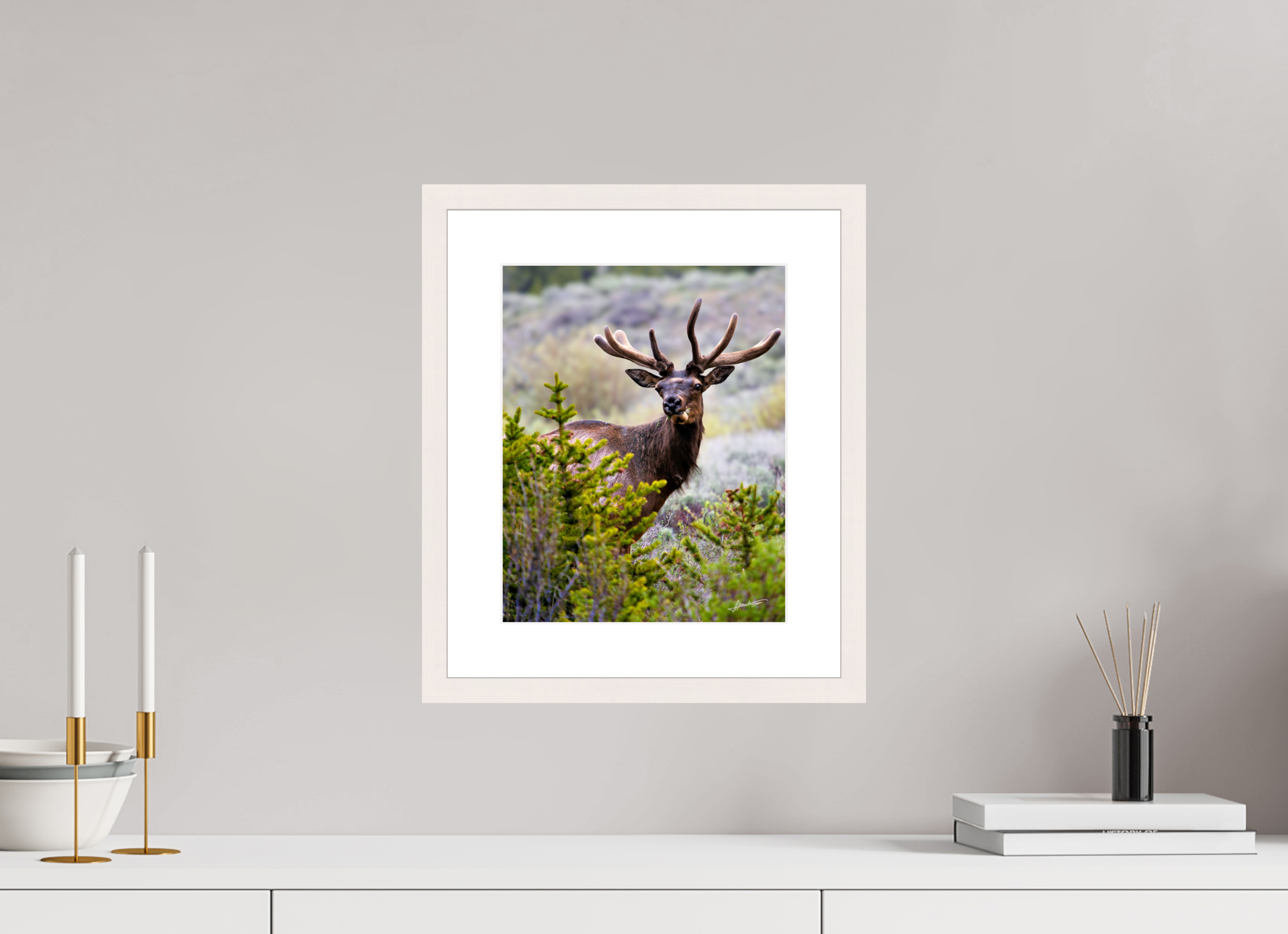 10 x 12.5″, Solid Wood Frame with Passe-partout Velvet Bull