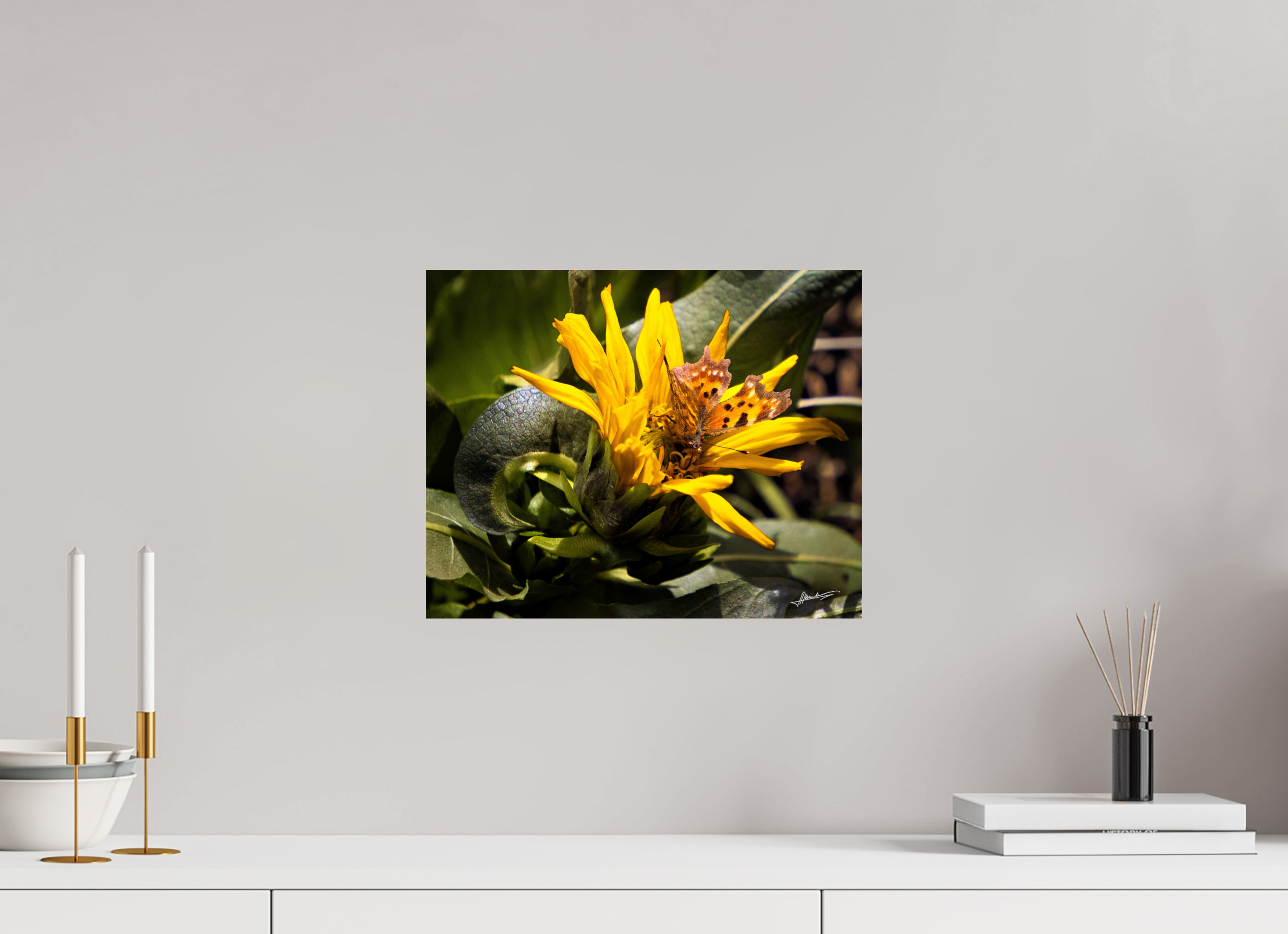 15 x 12″, ChromaLuxe HD Metal Busy Butterfly