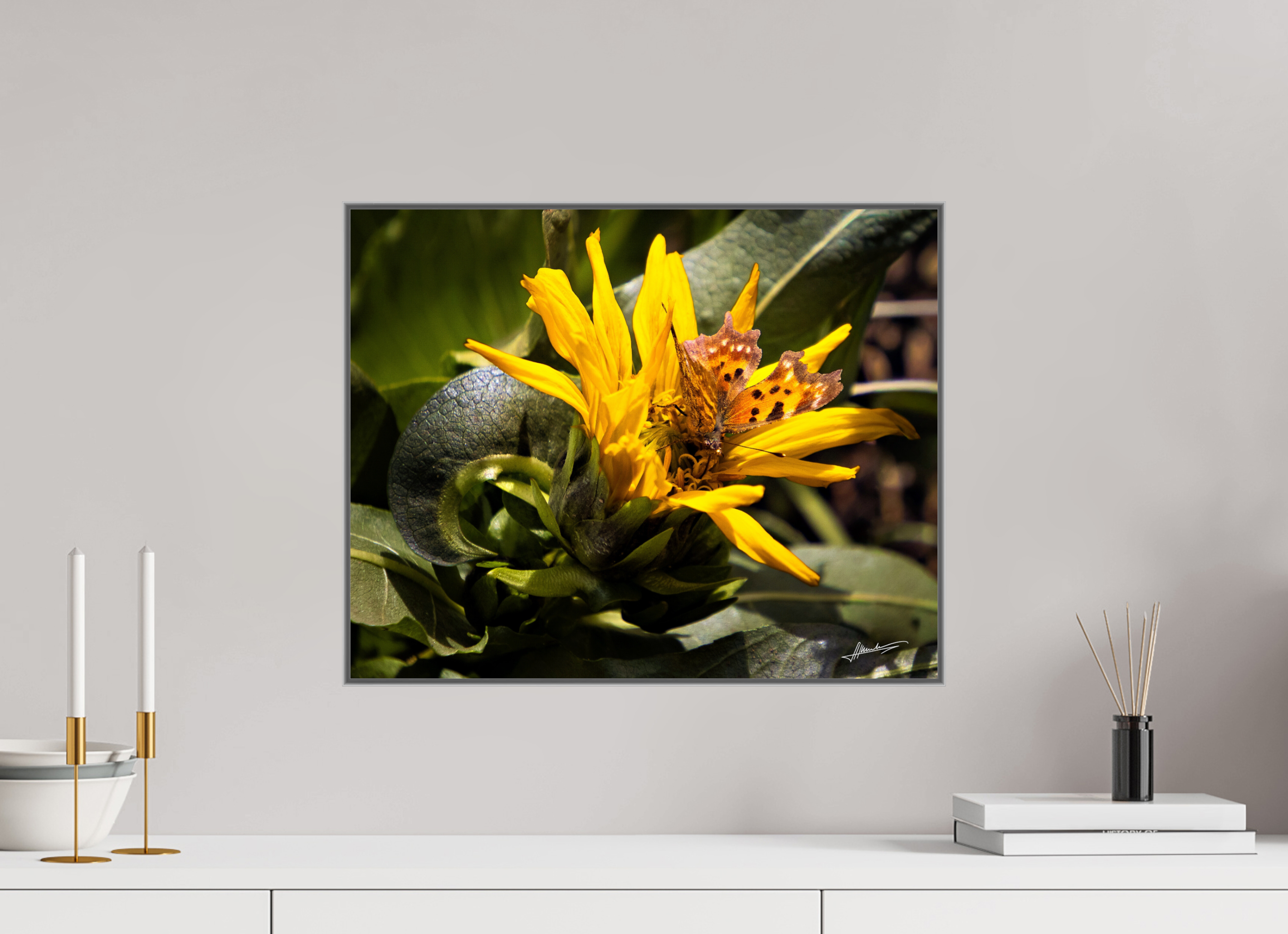 20 x 16″, Aluminum ArtBox Busy Butterfly