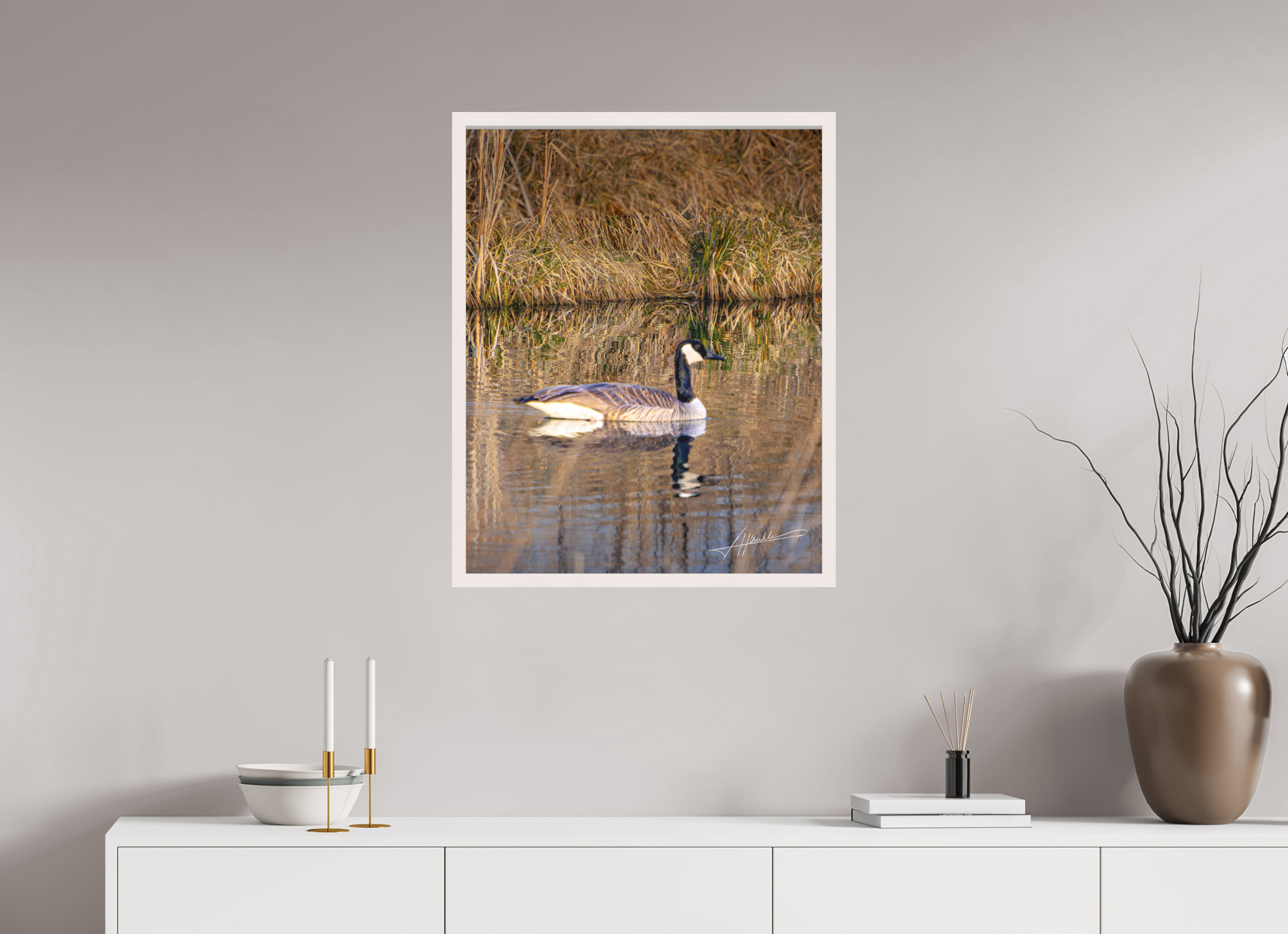 24 x 30″, Shadow Box Frame A Swimming Reflection