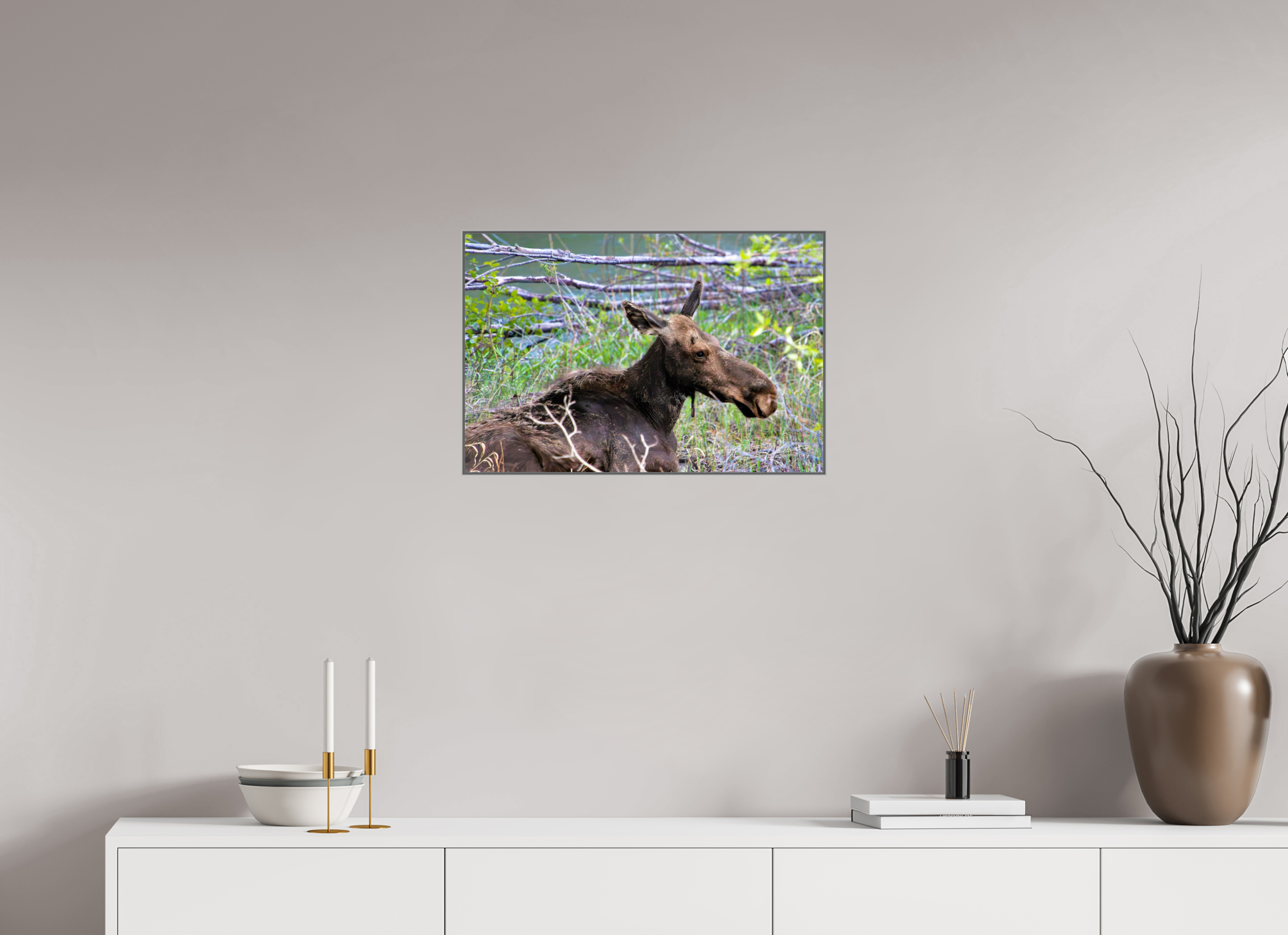 24 x 16″, Aluminum ArtBox Moose Relaxing