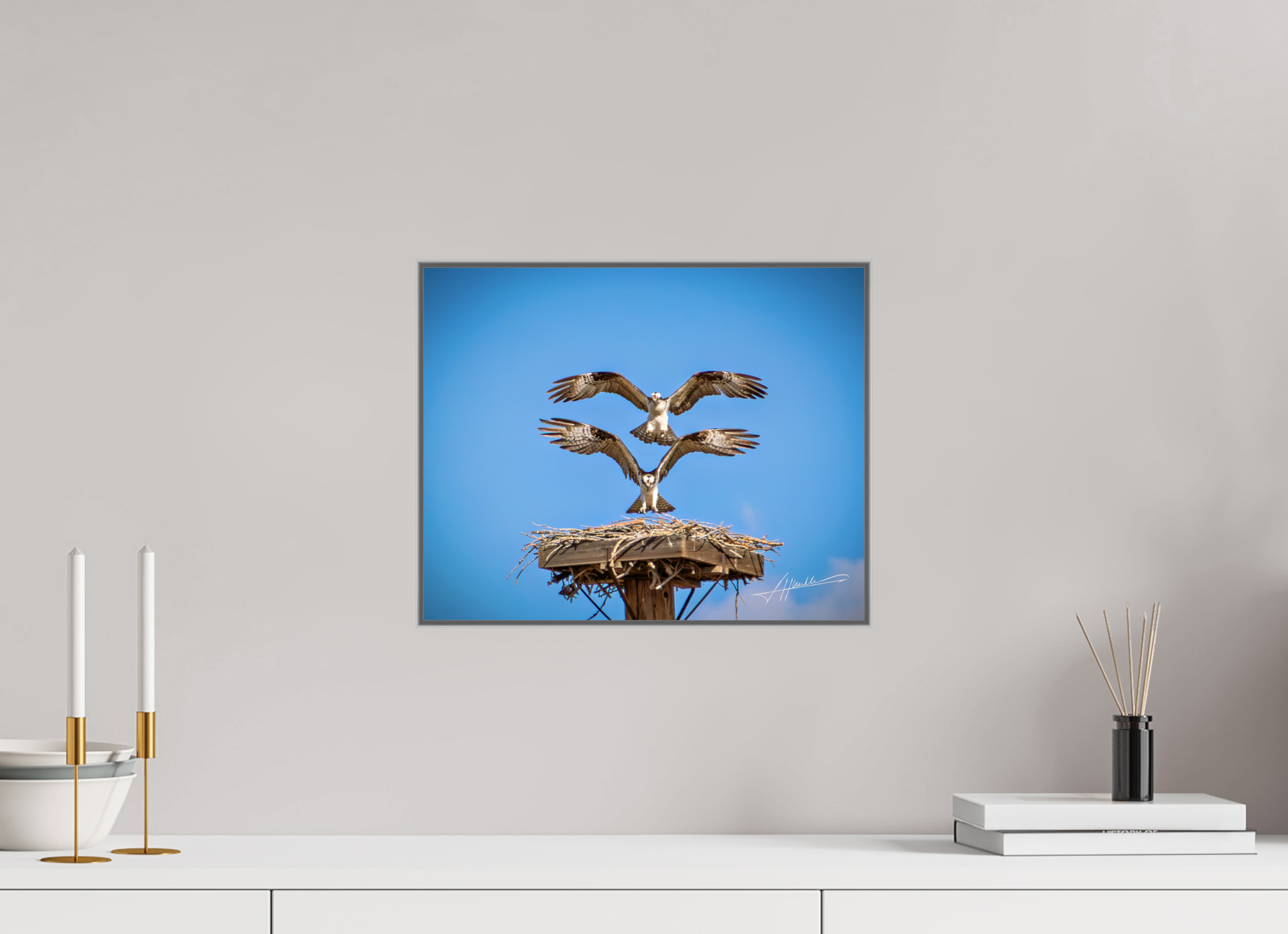 15 x 12″, Aluminum ArtBox Two Osprey Landing