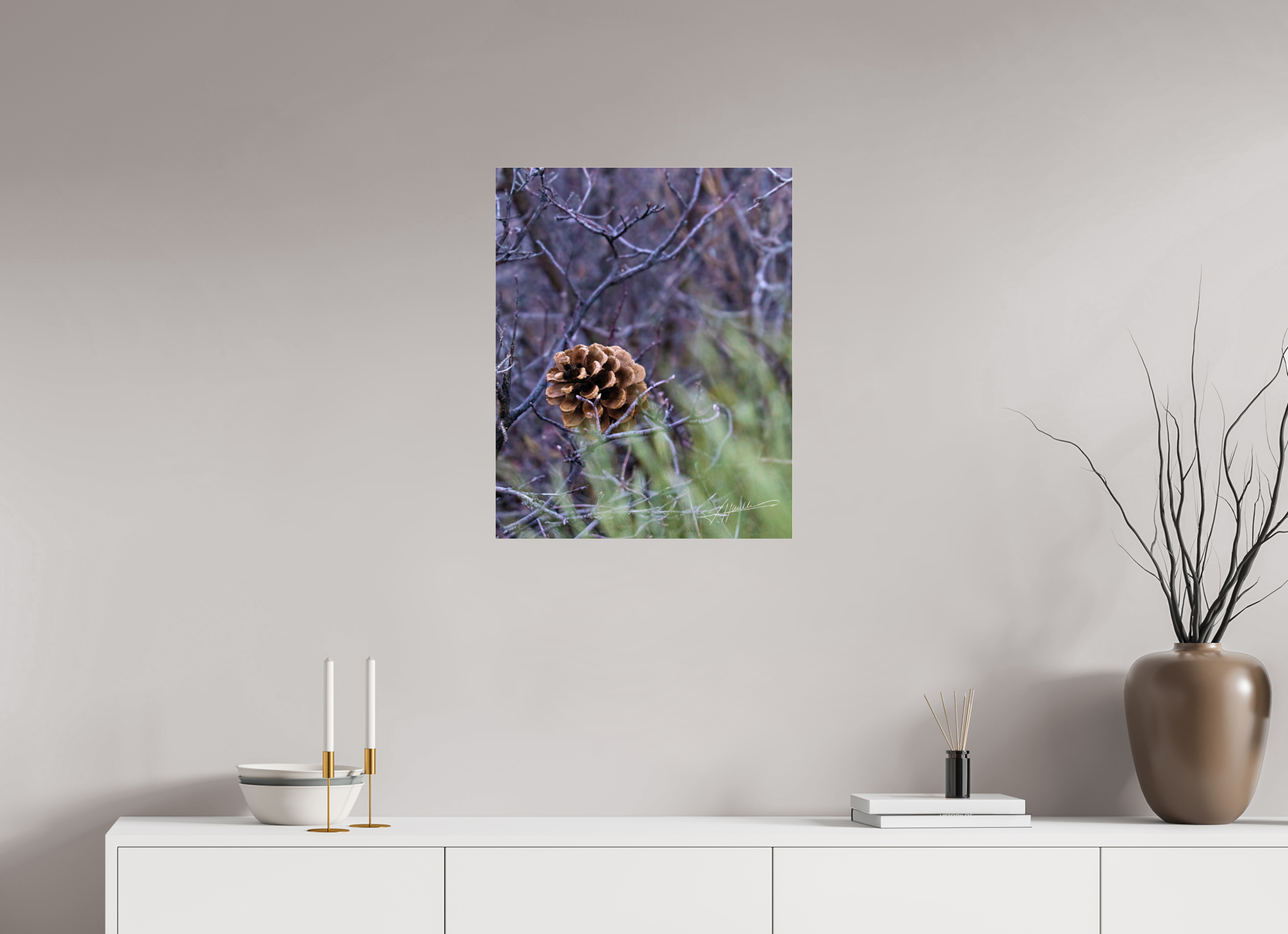 20 x 25″, Photo Print Under Acrylic Glass Mountain Pinecone