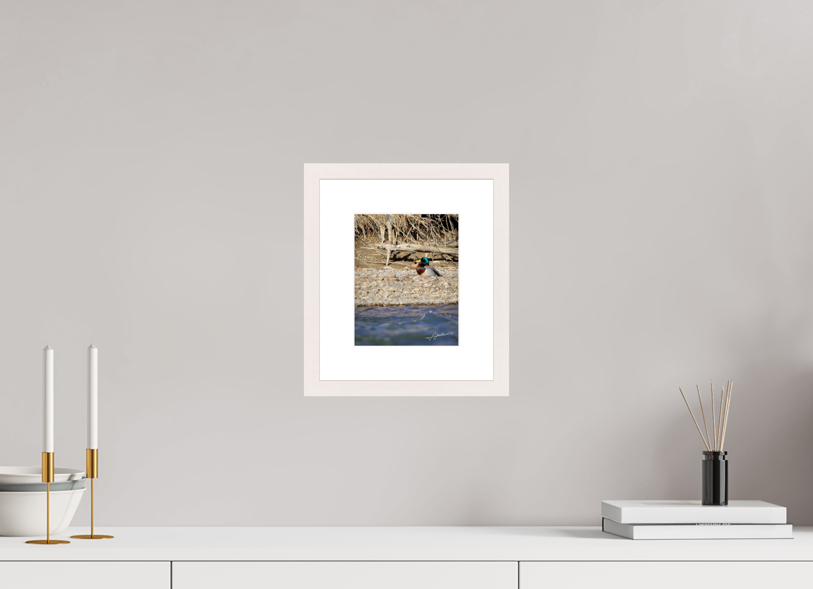 6 x 7.5″, Solid Wood Frame with Passe-partout Sunbathing Mallard