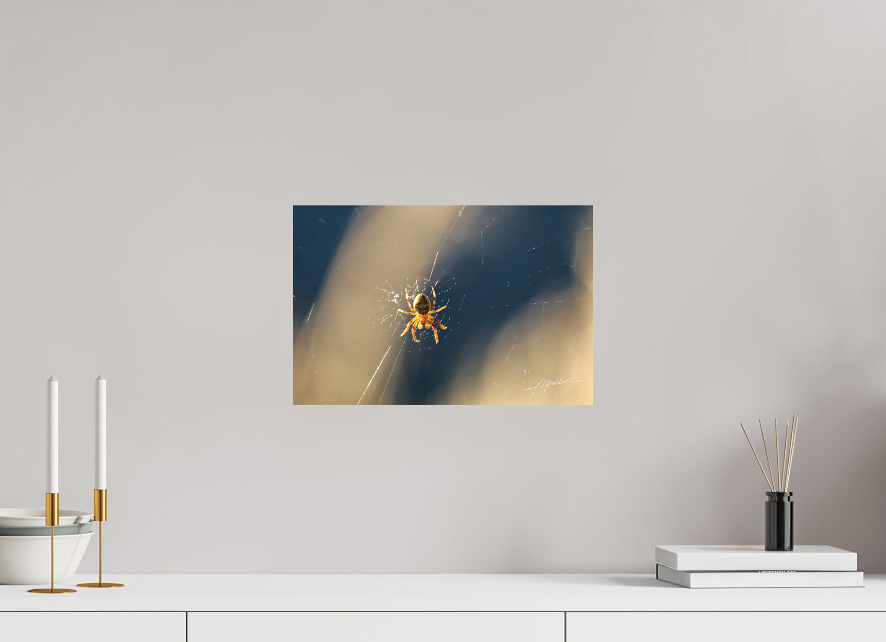 15 x 10″, ChromaLuxe HD Metal Tattered Web