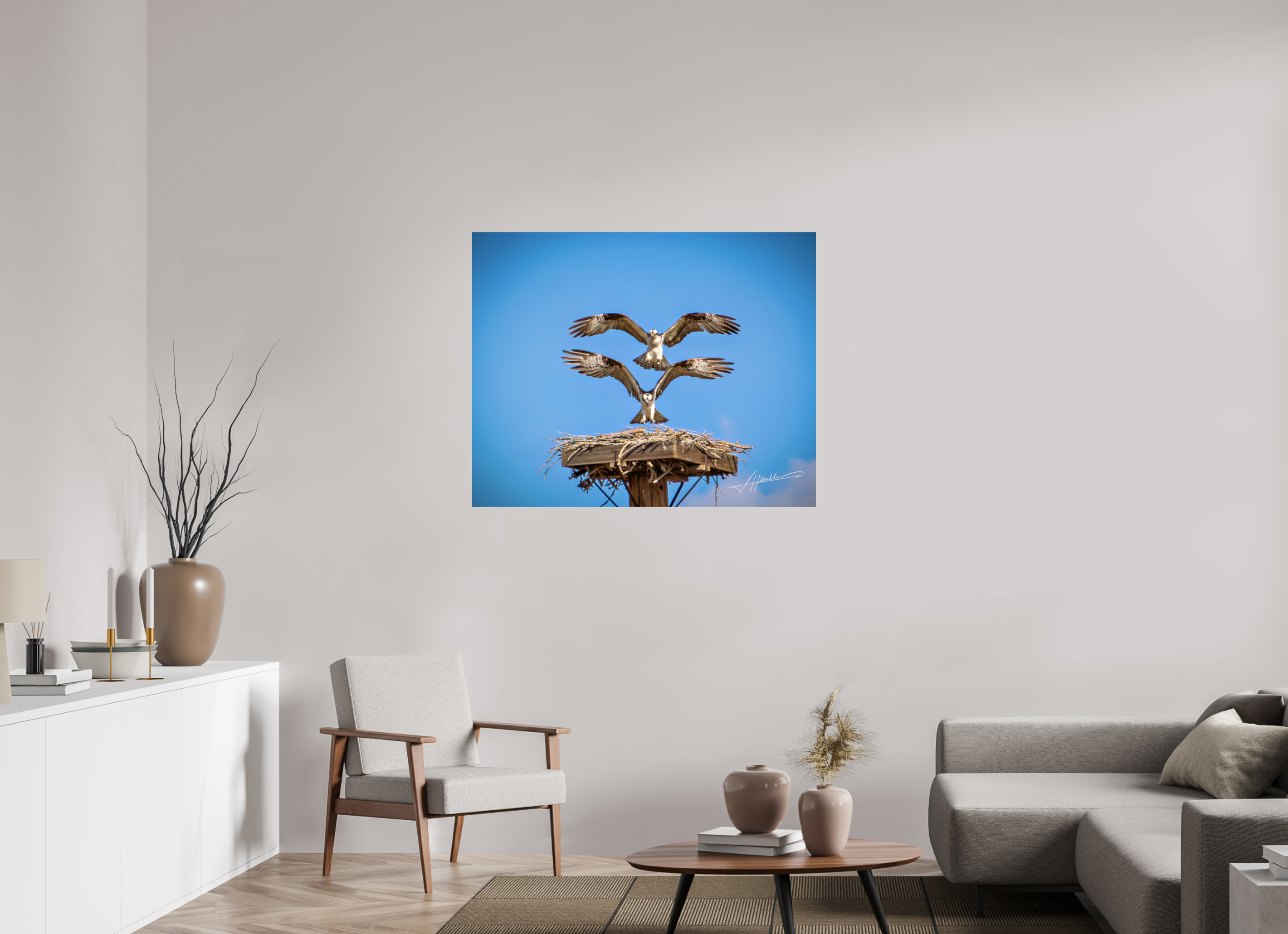 43.7 x 35″, Metallic Under Acrylic Two Osprey Landing