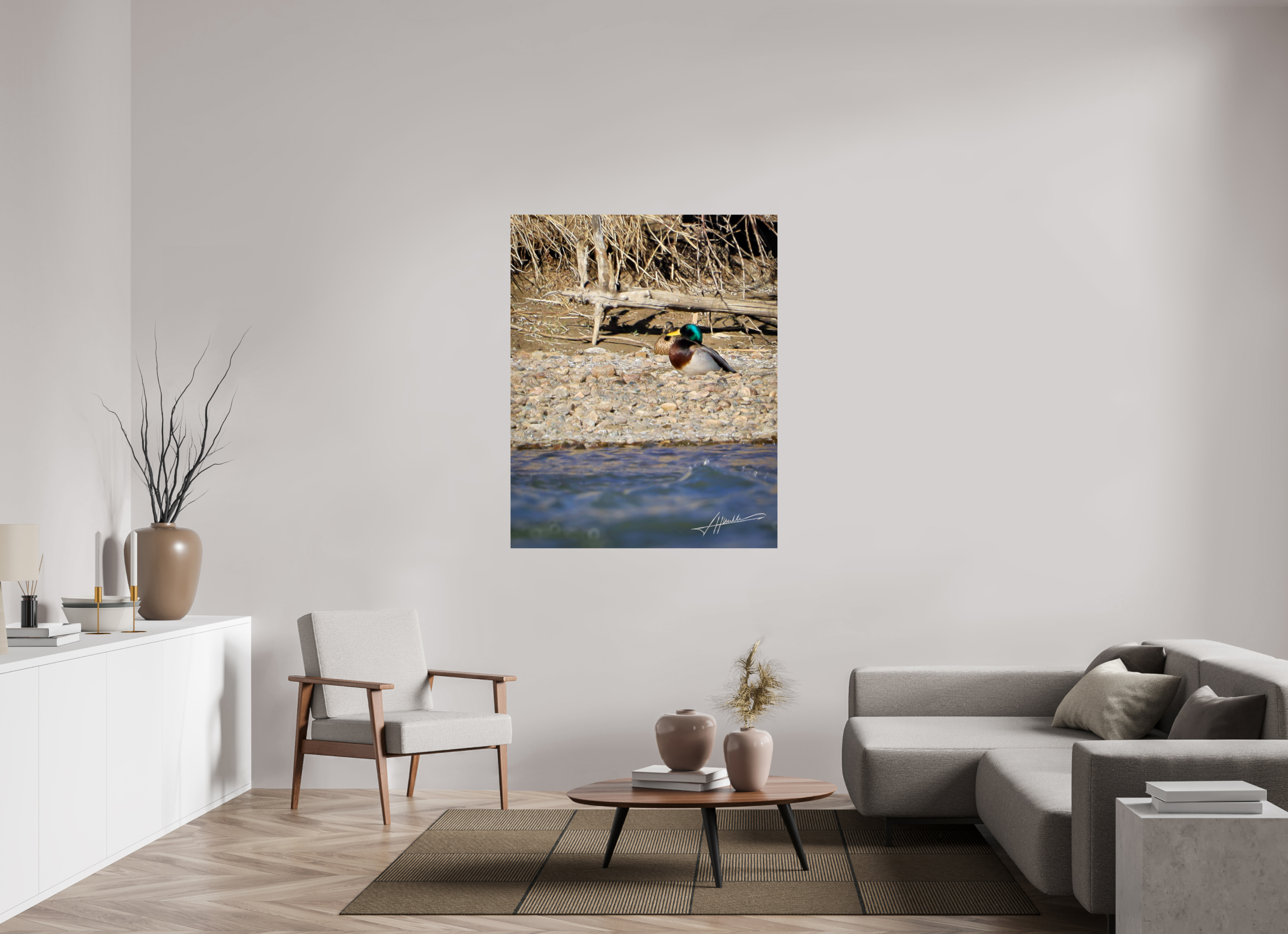 43 x 53.7″, Photo Print On Fuji Crystal DP II Sunbathing Mallard