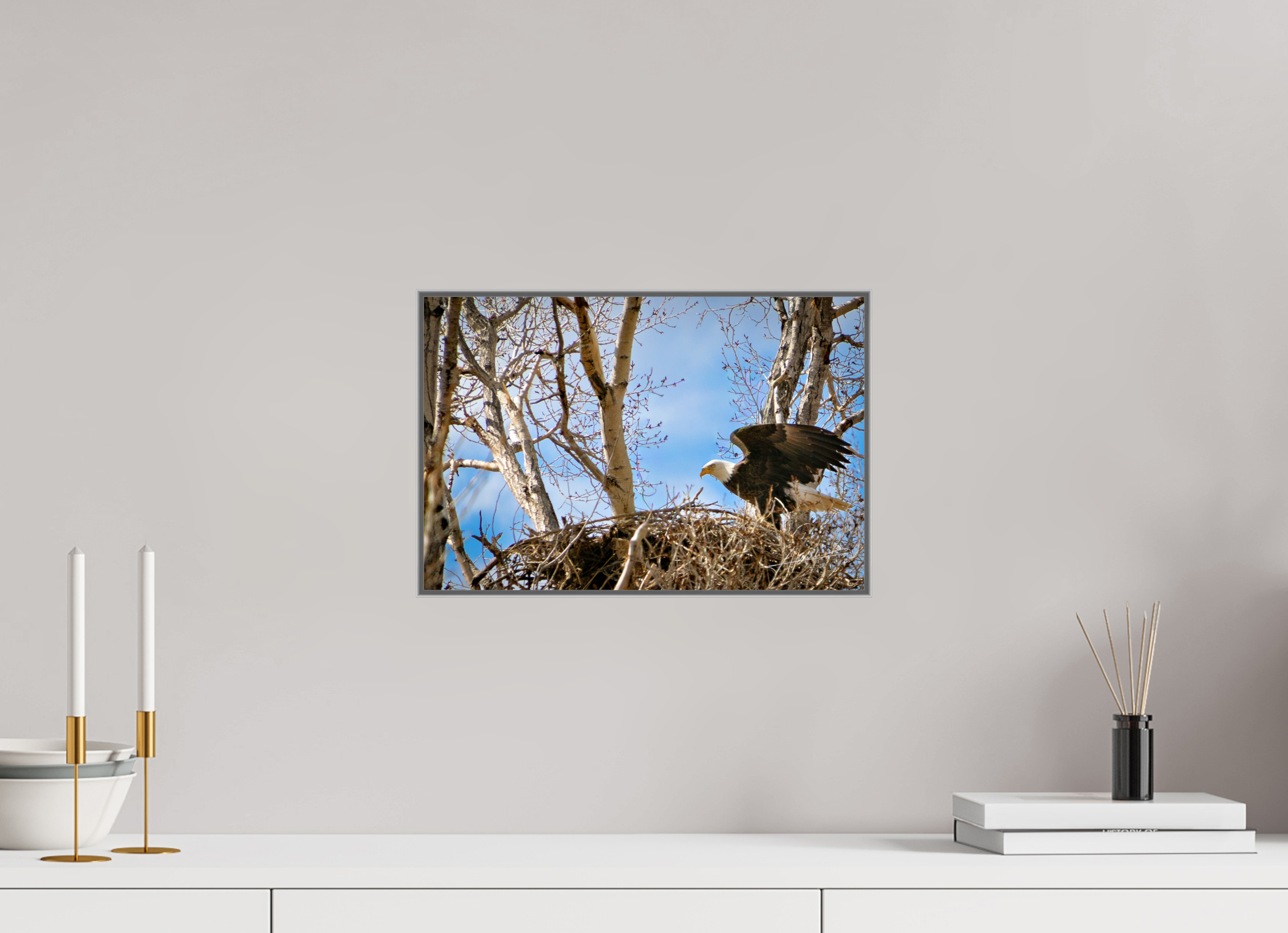 15 x 10″, Aluminum ArtBox The Eagles Nest