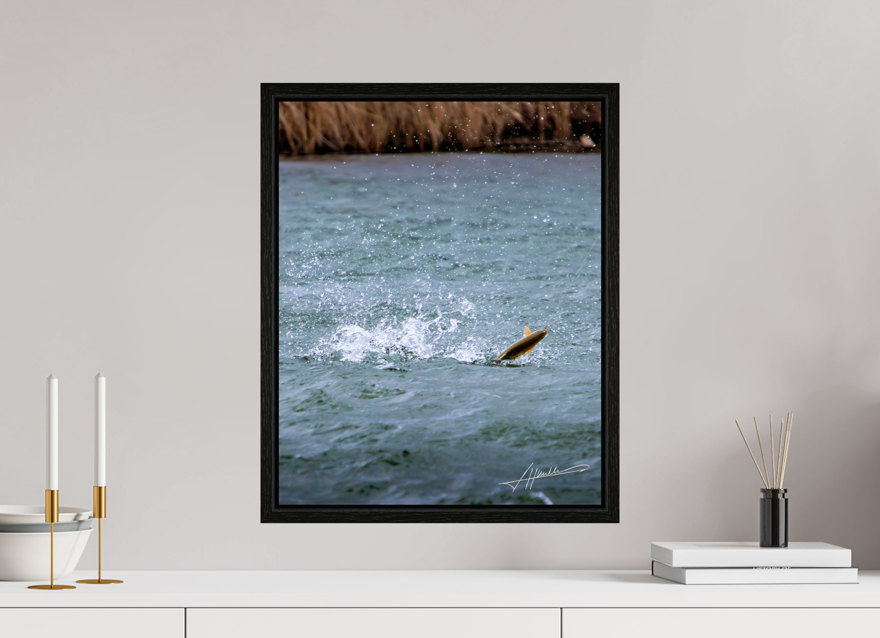 16 x 20″, Floater Frame Jumping Rainbow Trout