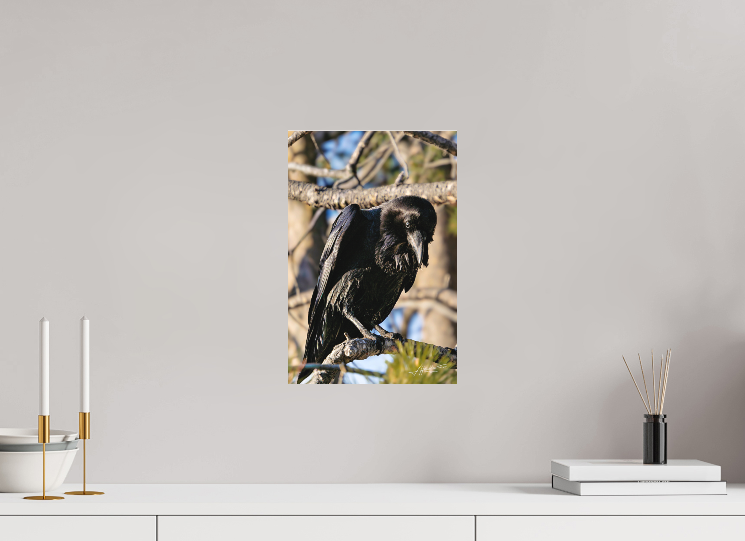 10 x 15″, Fine Pigment Under Acrylic Morning Raven