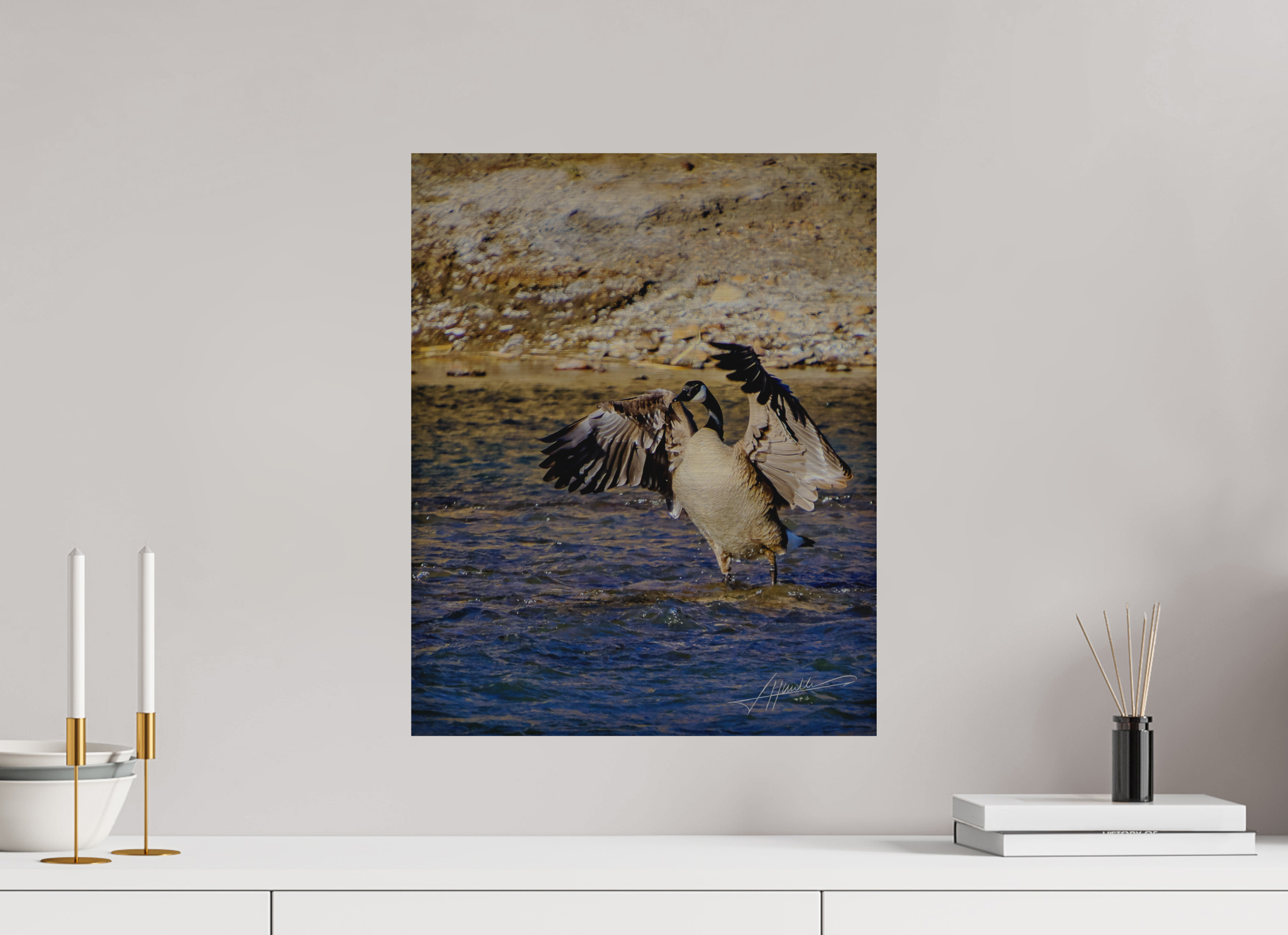 16 x 20″, Direct Brushed Aluminum The Bathing Goose