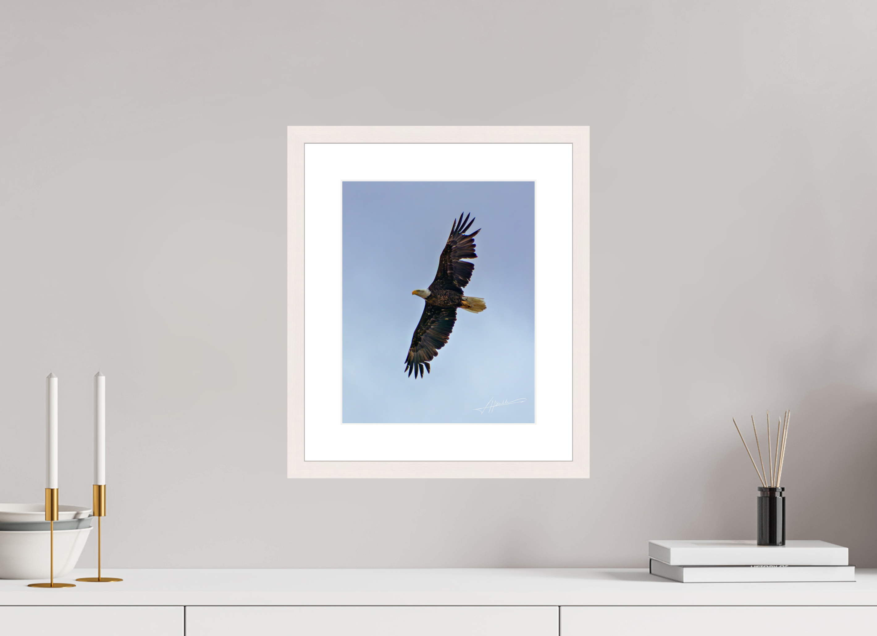 10 x 12.5″, Solid Wood Frame with Passe-partout Wings Spread